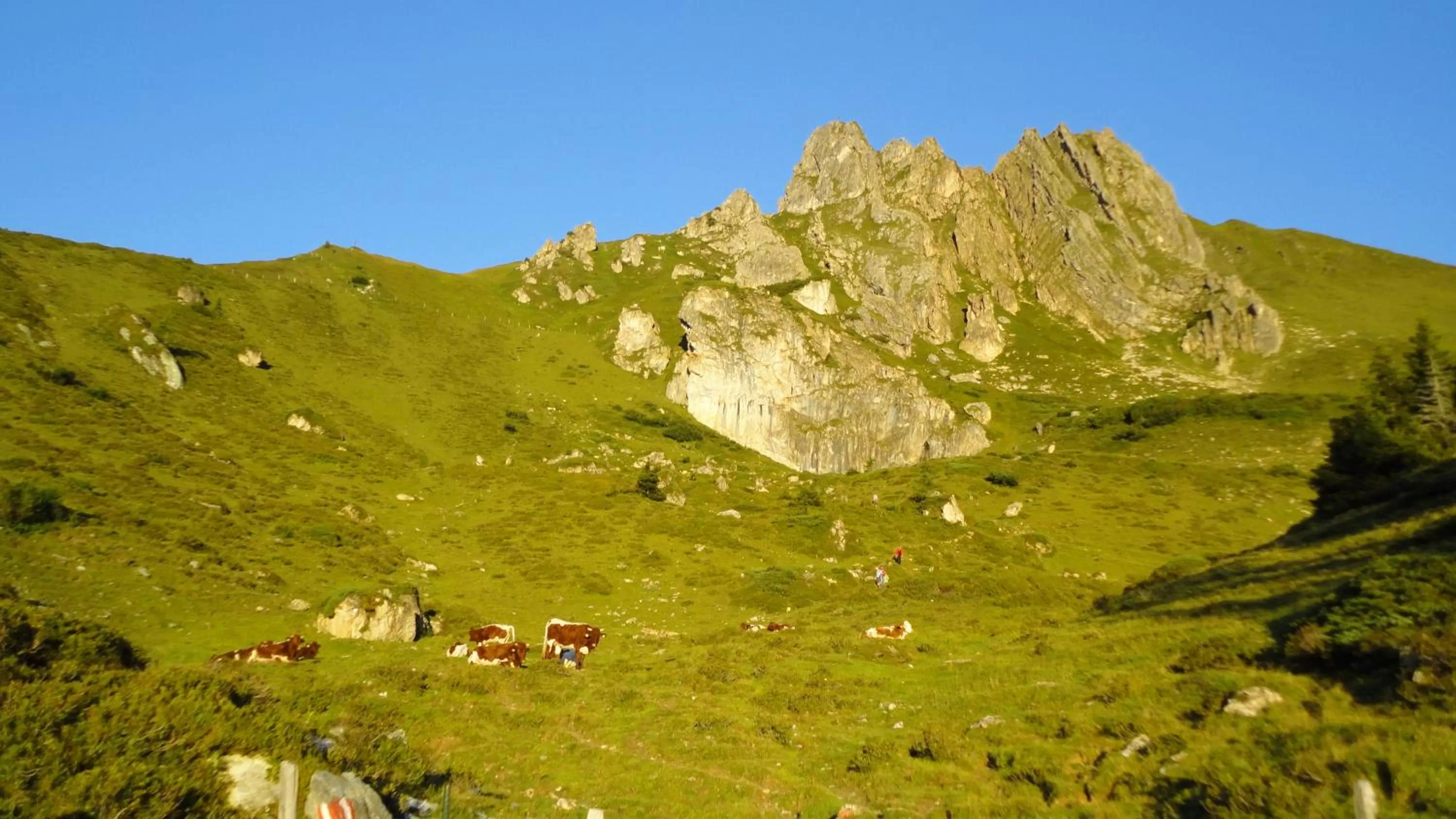 Area and facilities in Appartements KATHRIN