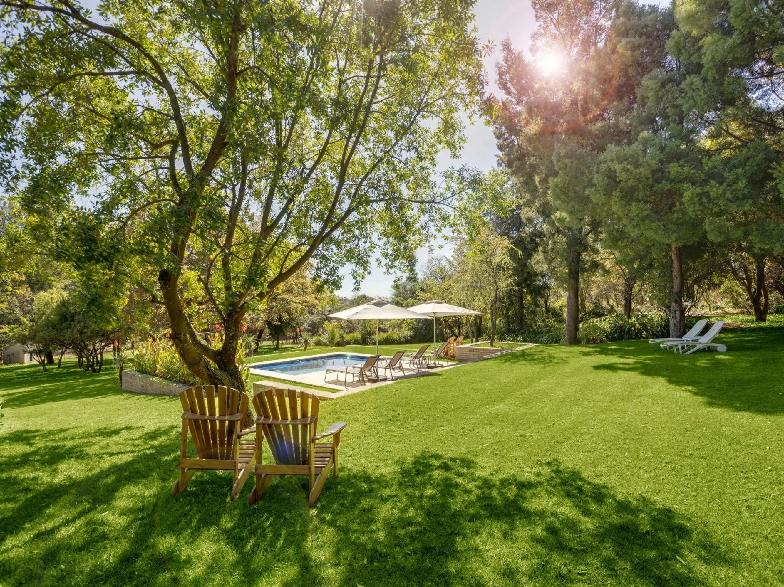 Garden in Amberhall Guesthouse