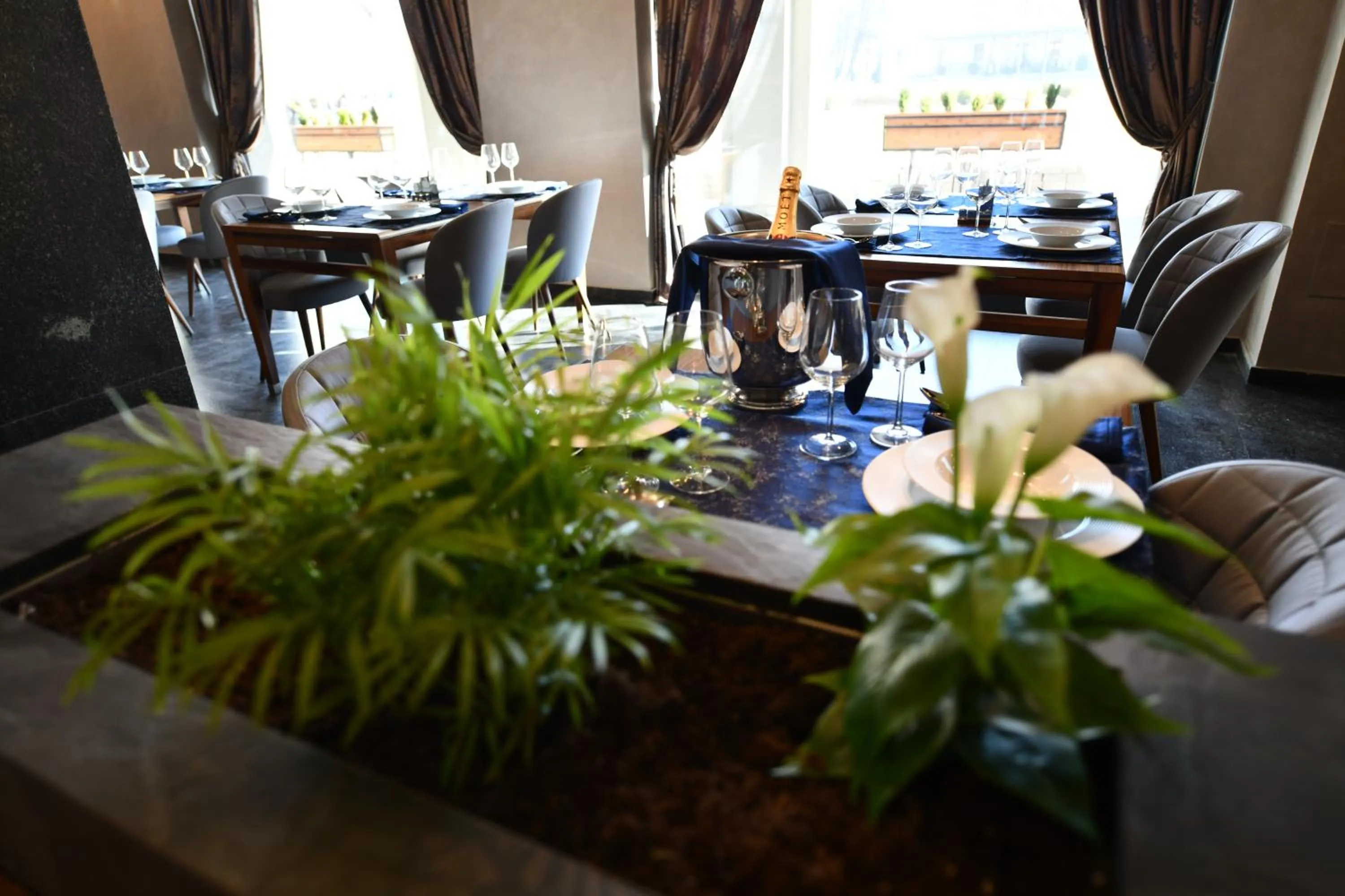 Restaurant/places to eat in Hotel Austria & Bosna