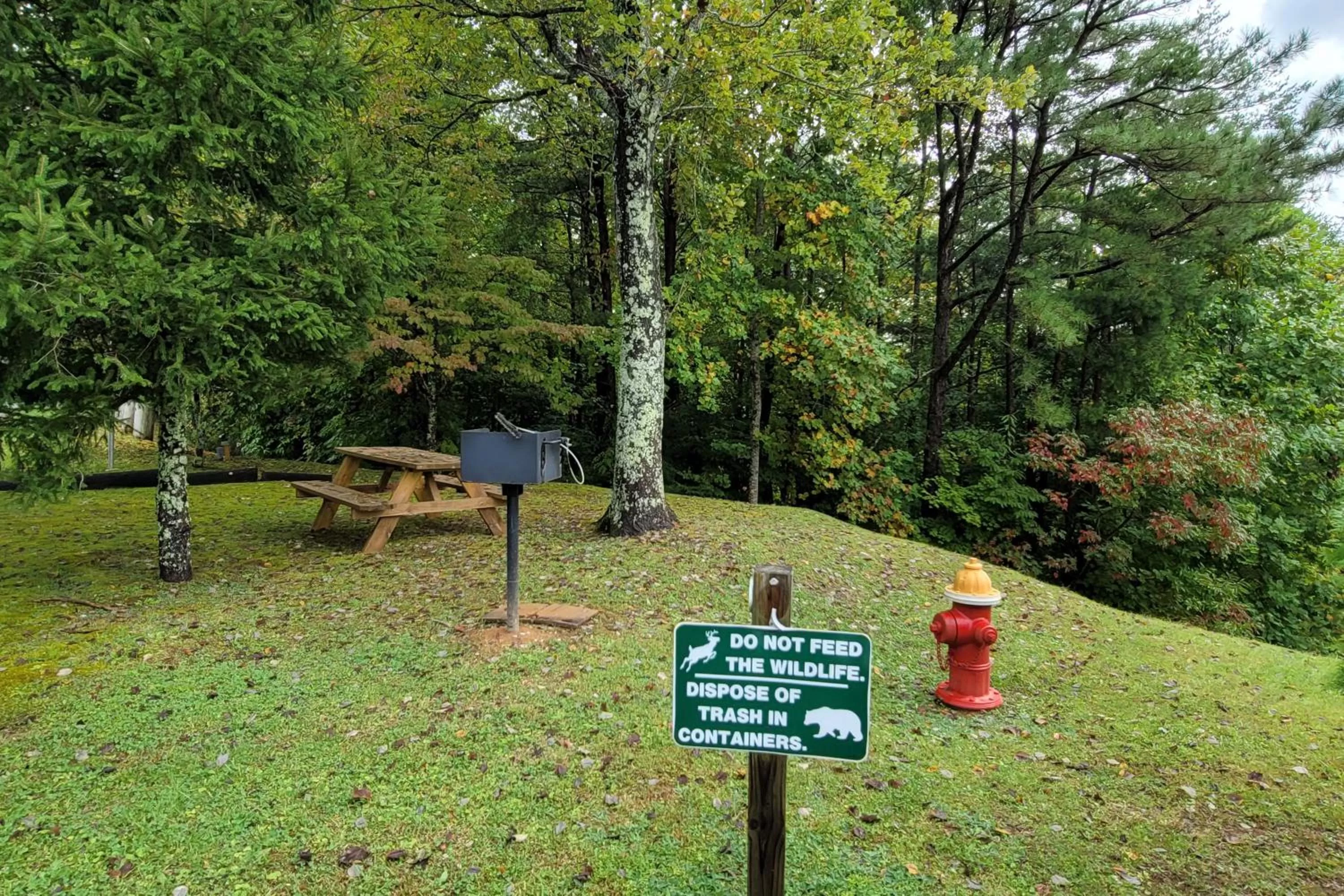 Garden in Grand View Loft