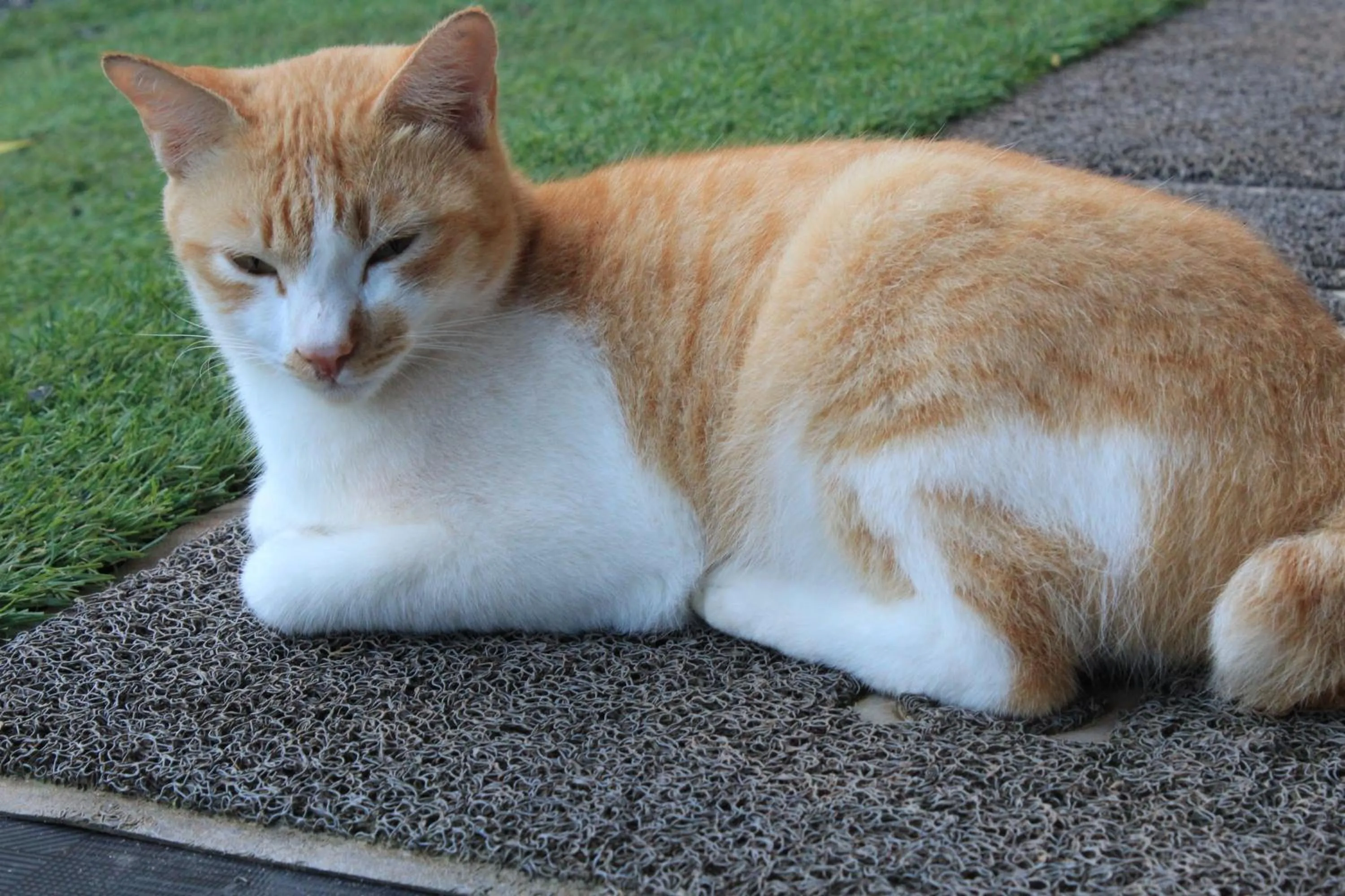 Day in Lanta Happy Hill