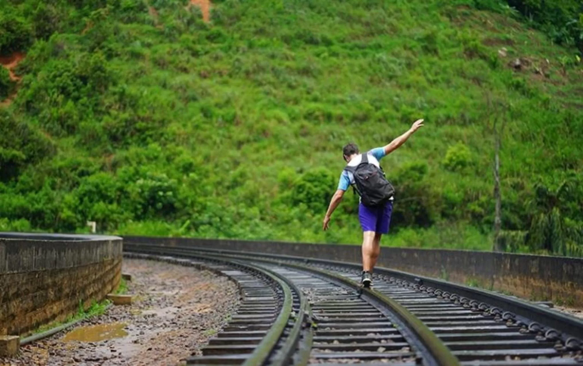 People in Jungle Face Inn