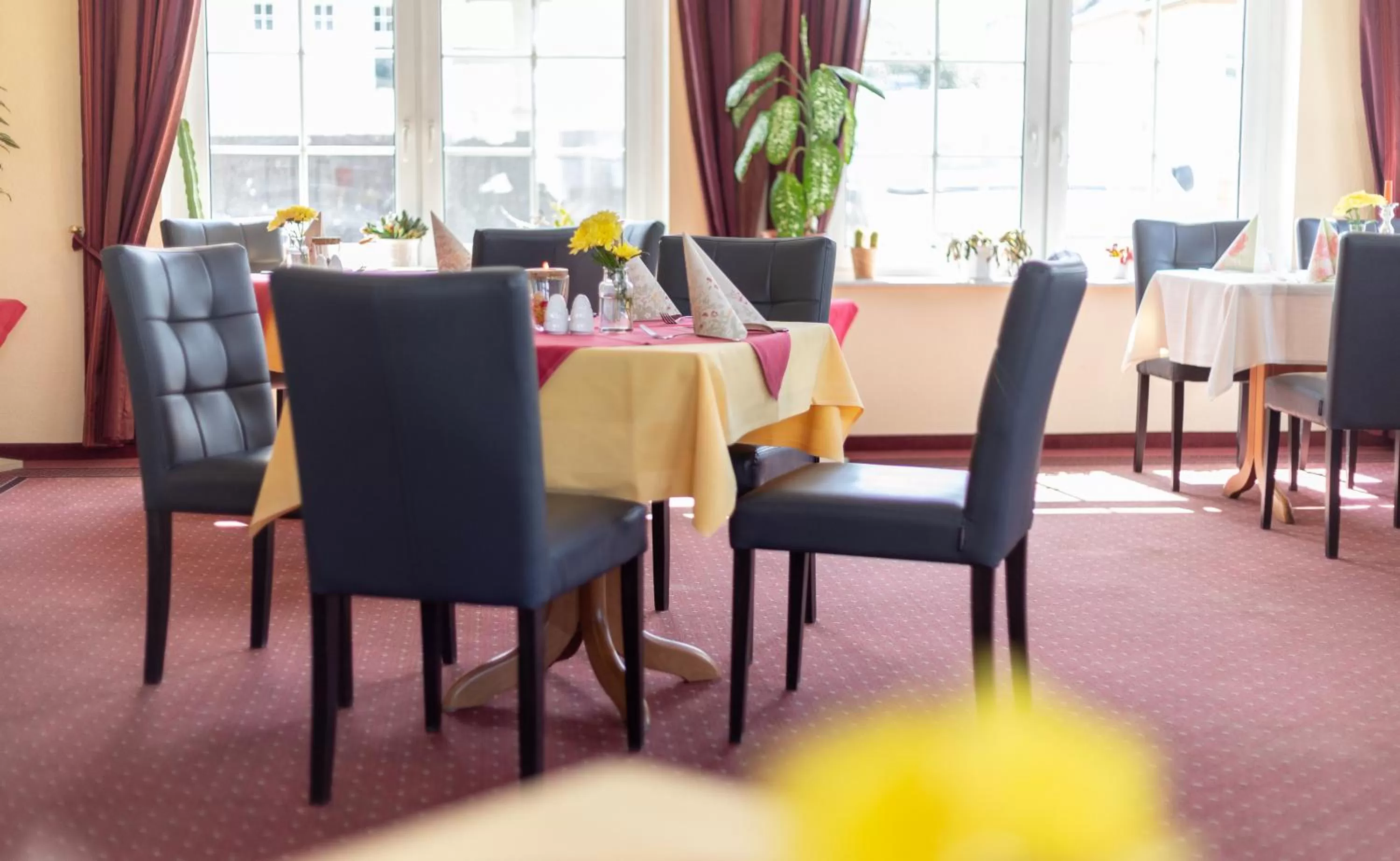 Restaurant/places to eat in Hotel am Wariner See