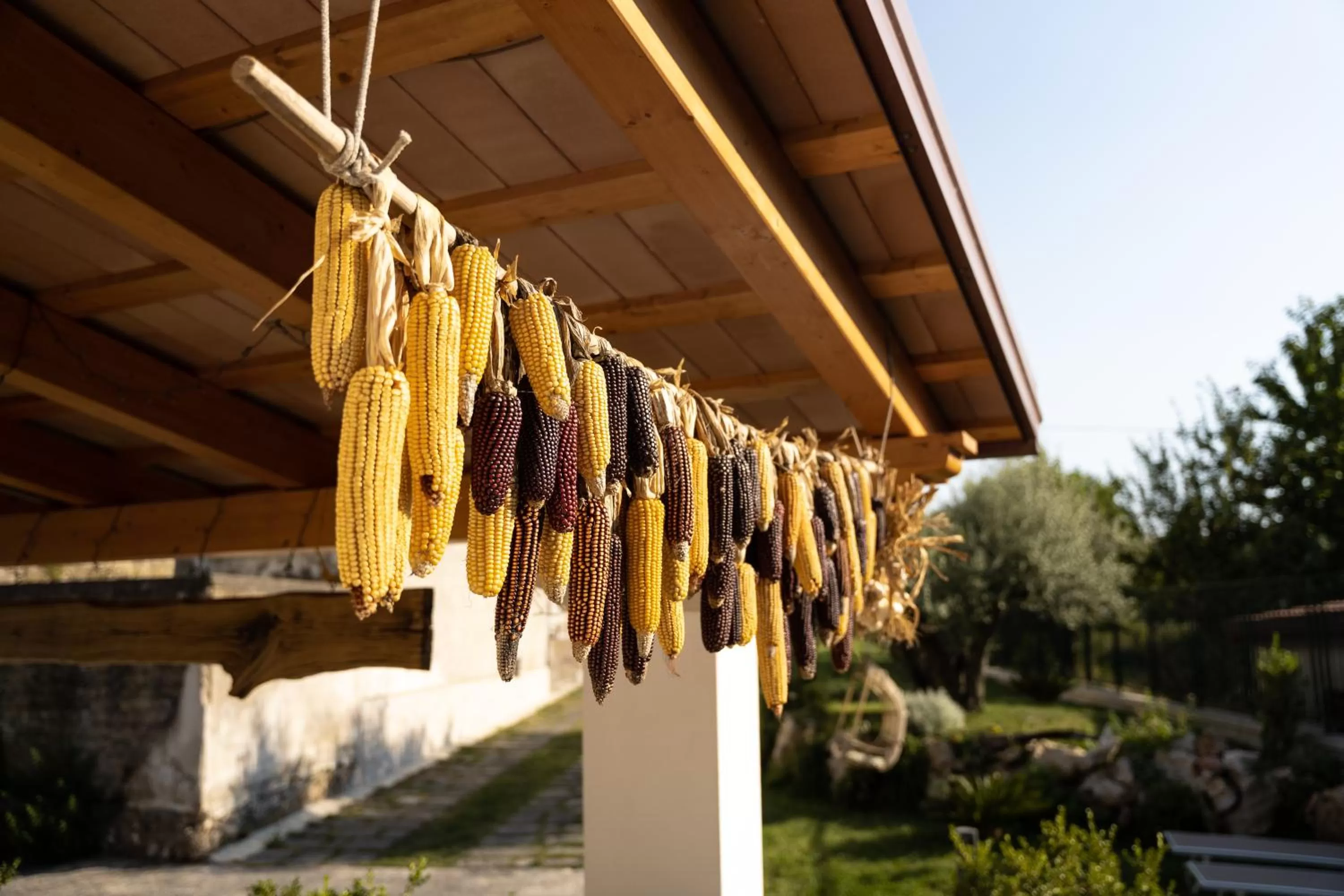 Garden in Al Chiaro di Luna