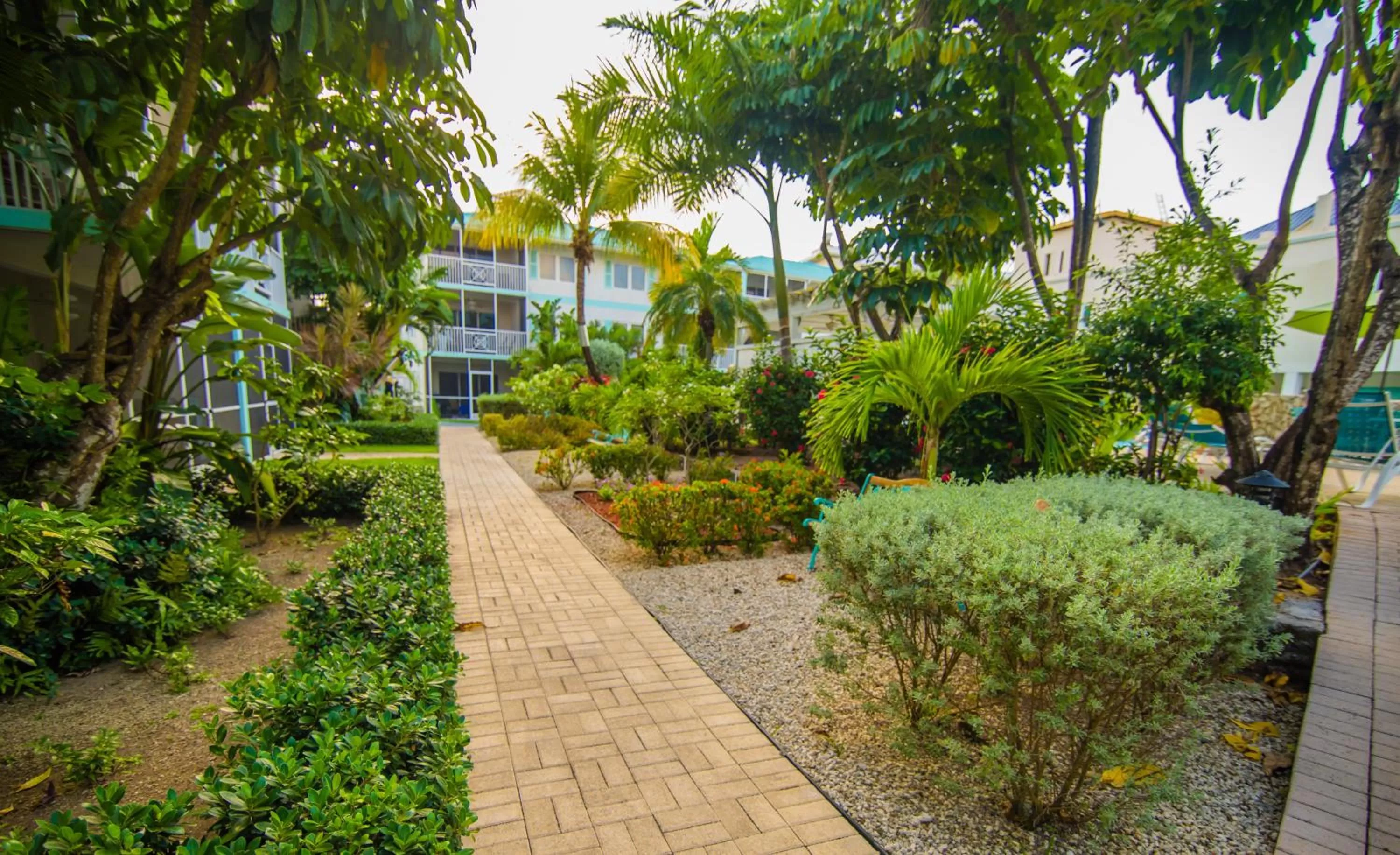Garden in Seven Mile Beach Resort