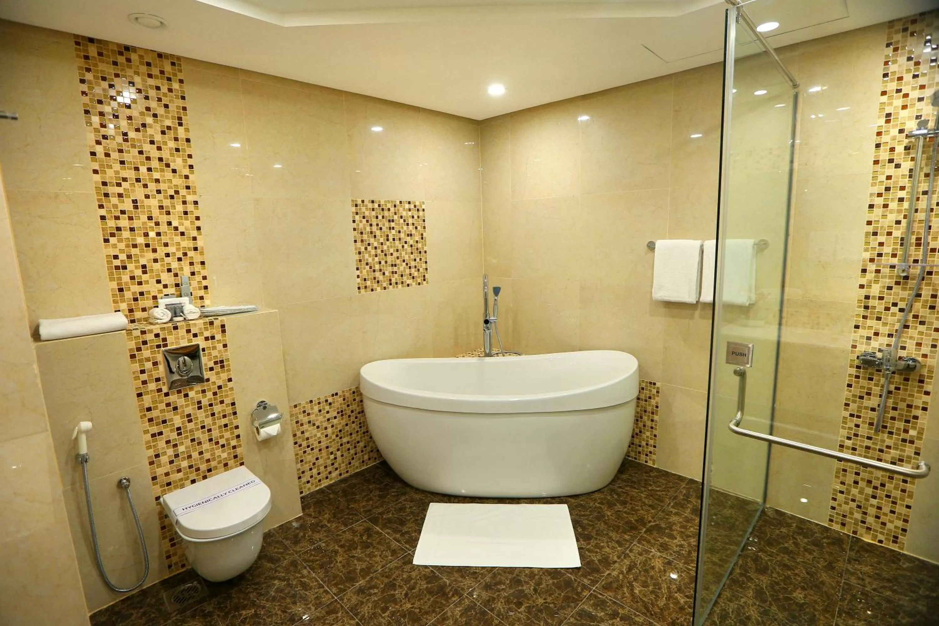 Shower in Premier Hotel