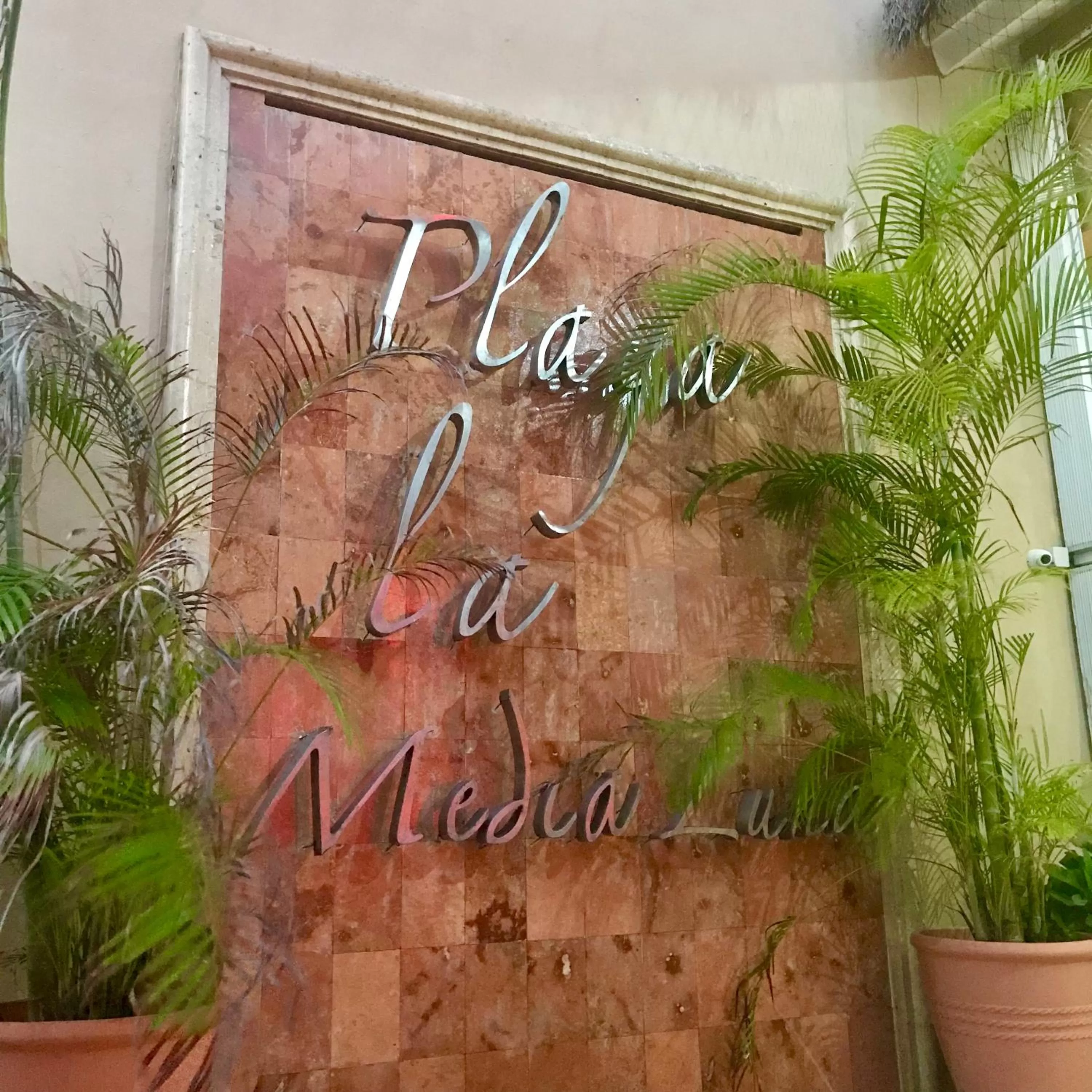Facade/entrance in Hotel Playa La Media Luna