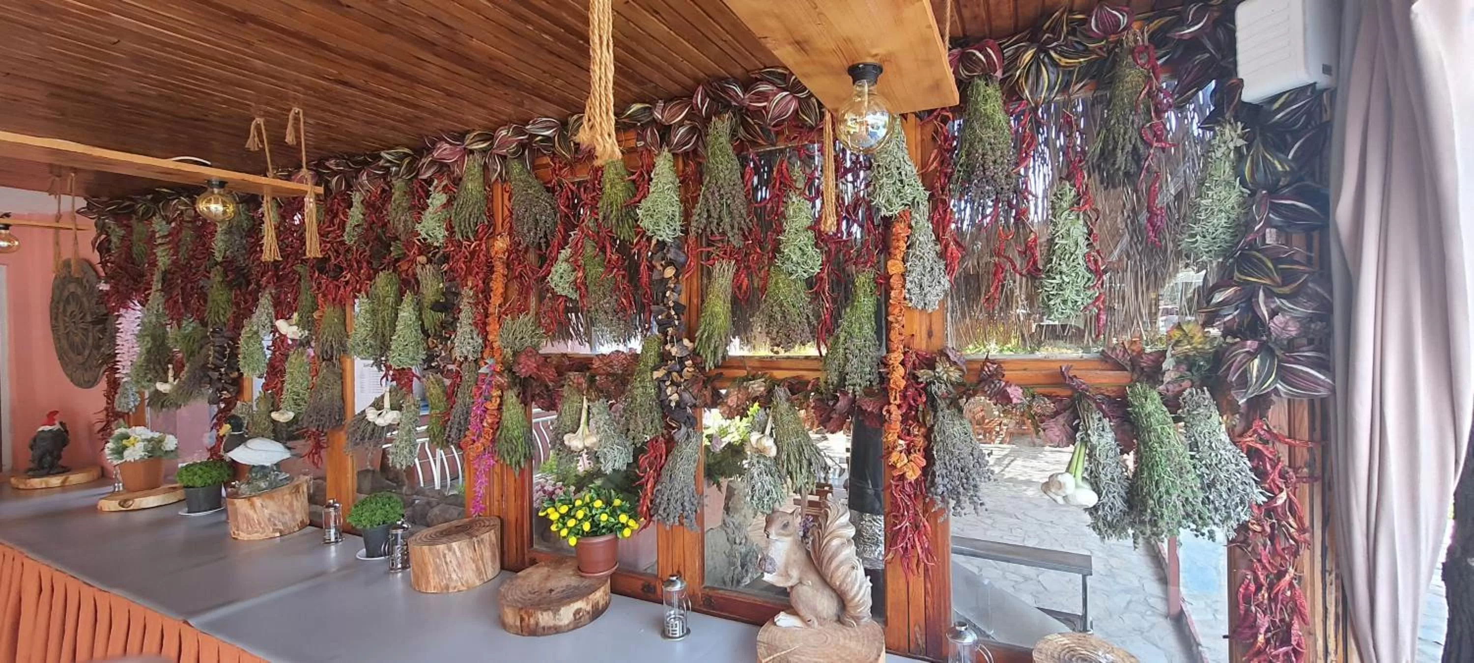 Garden in Grand Yayla Hotel