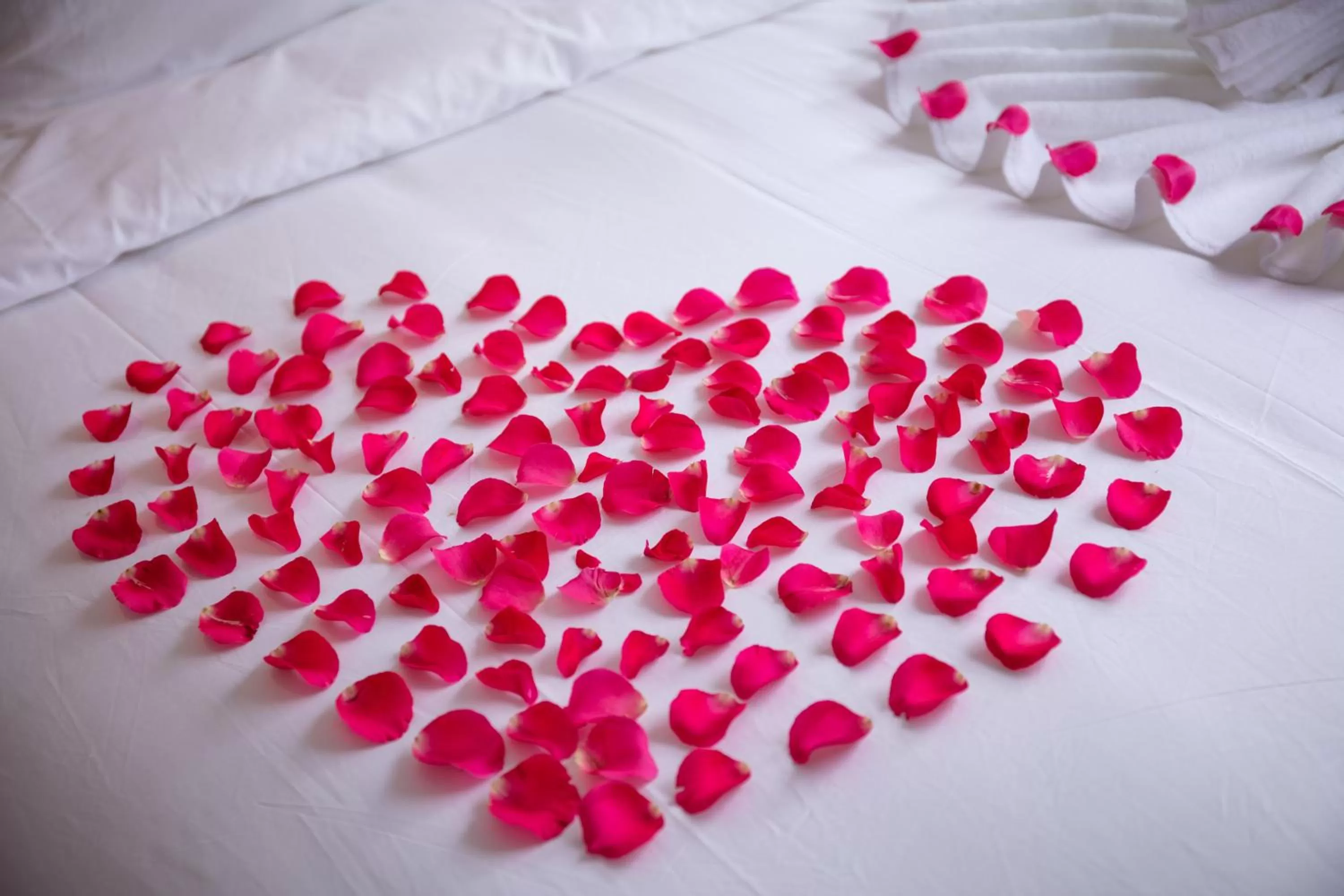 Decorative detail, Bed in Hanoi Center Silk Hotel & Travel