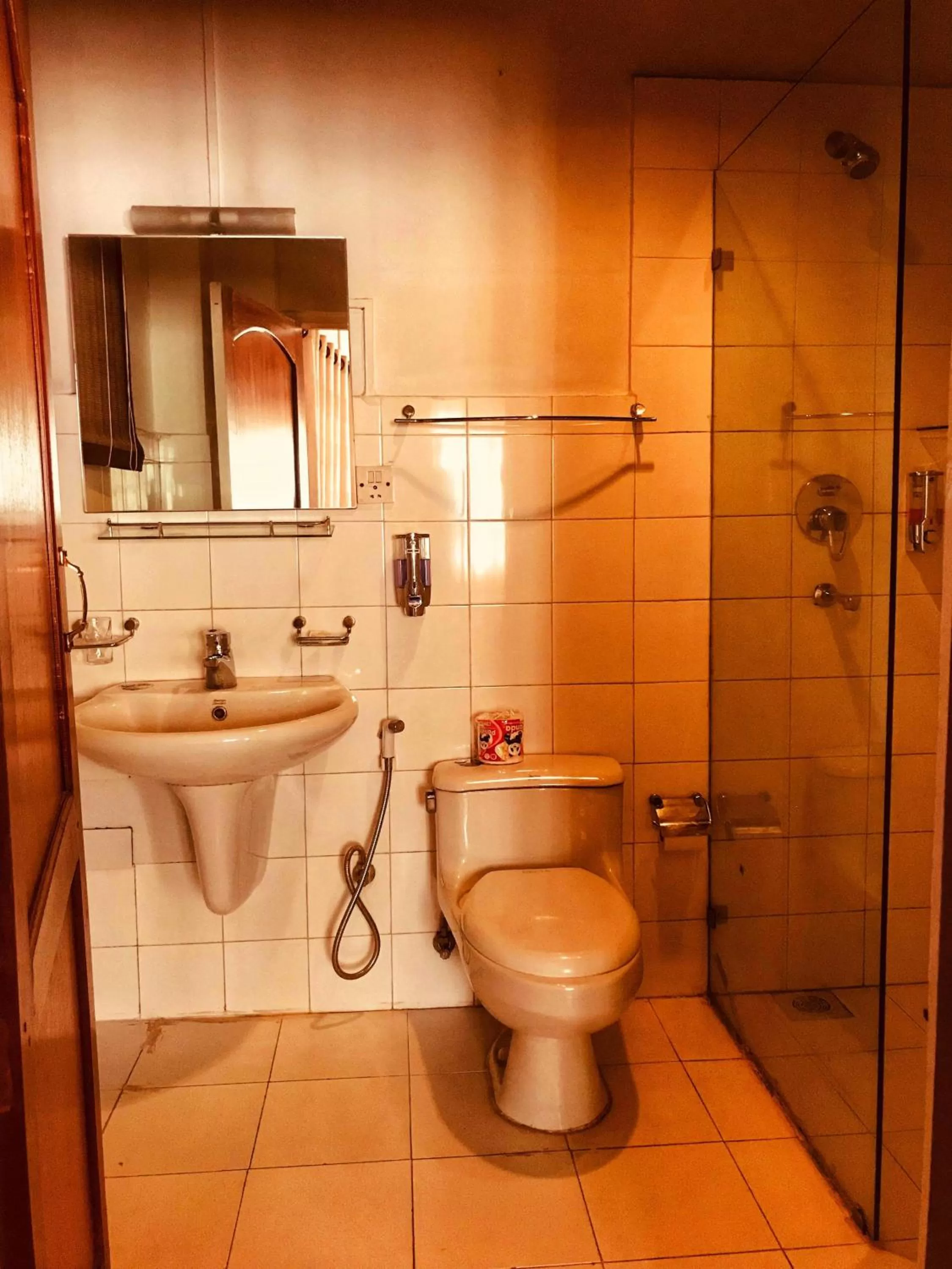 Toilet in Boutique Heritage Home