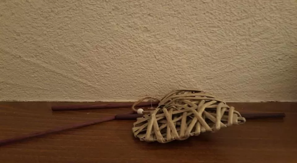 Öko-Landhotel Basler Hof