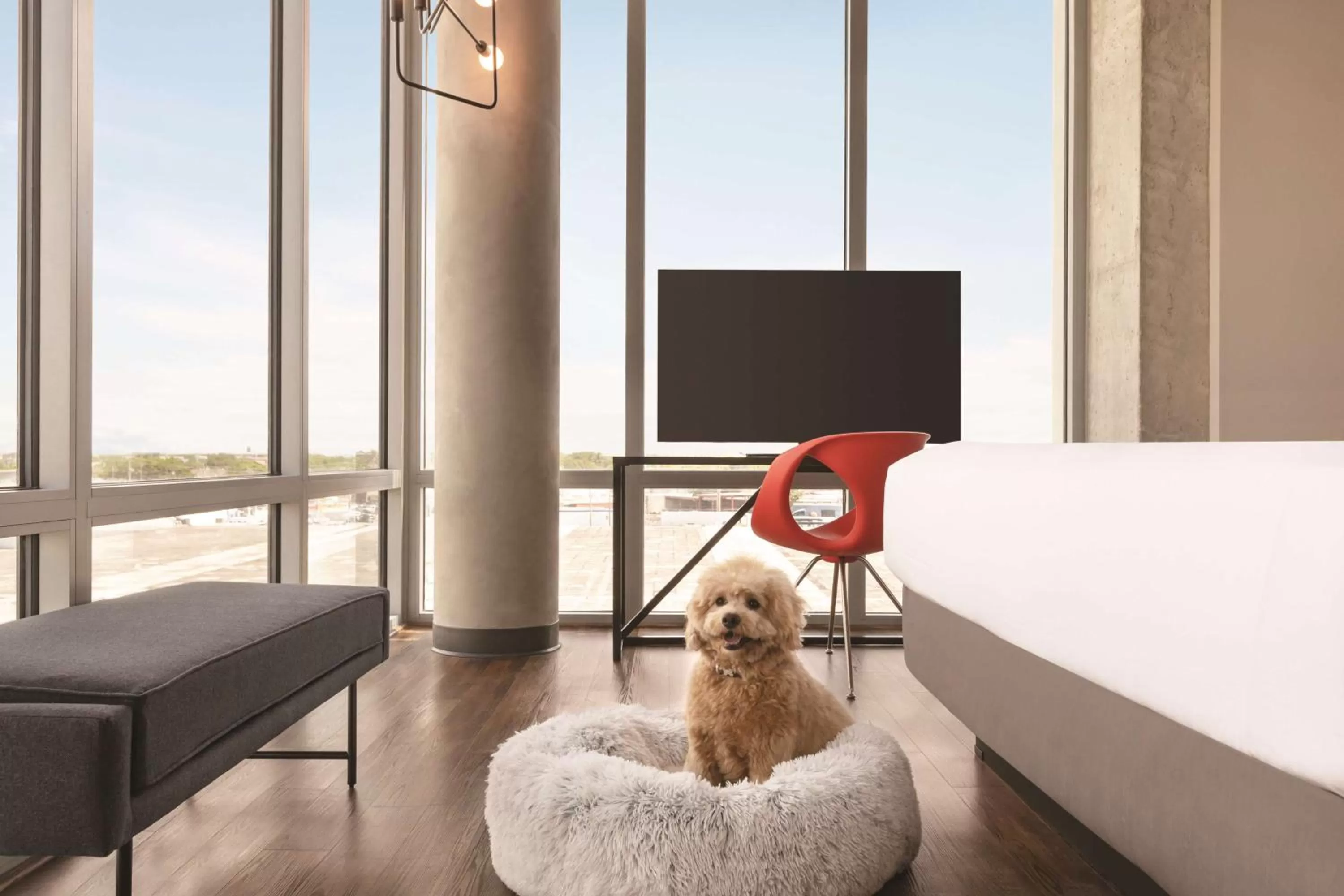 Corner King Room with Roll-In Shower - Non-Smoking in Radisson RED Miami Airport