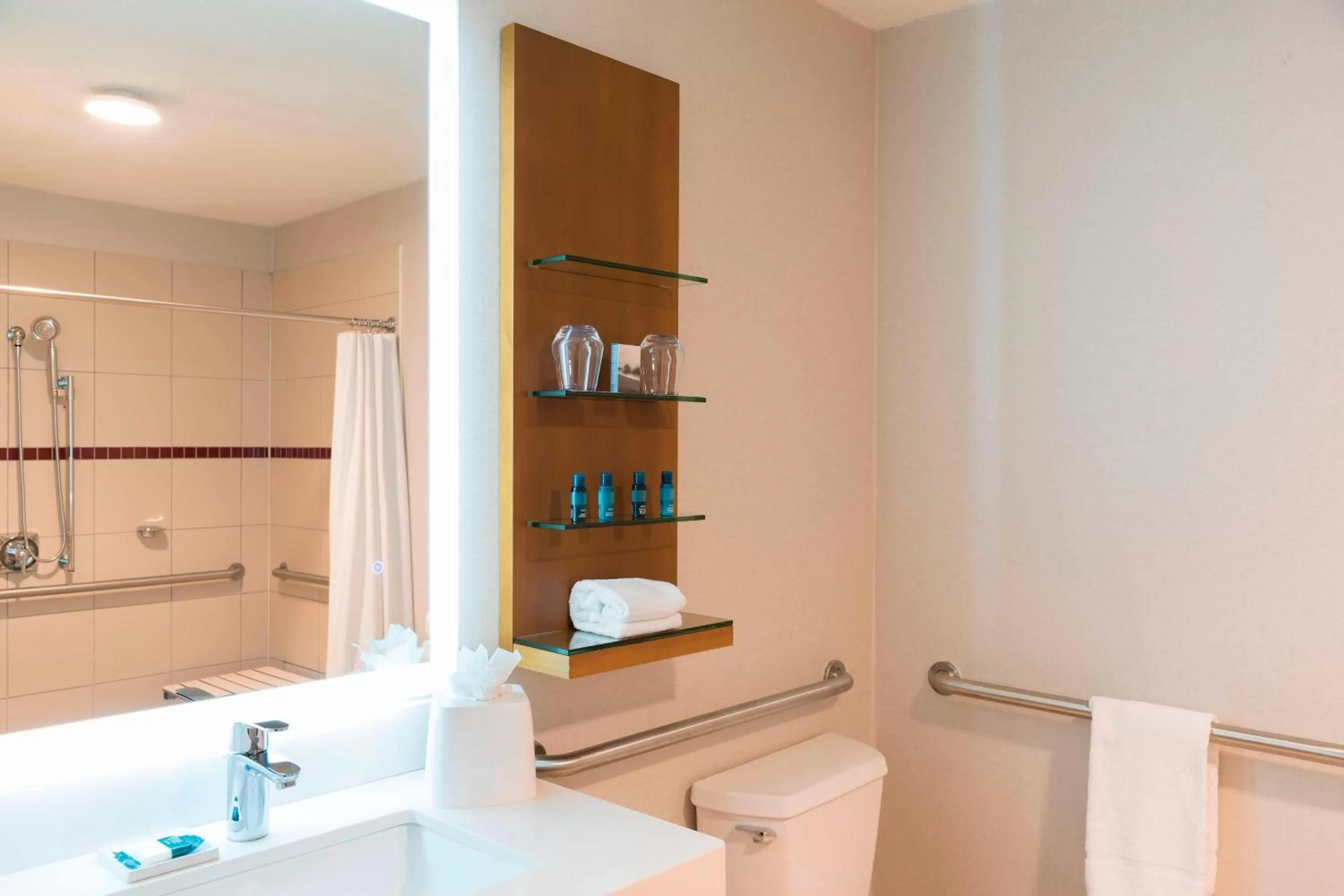 Bathroom in Delta Hotels by Marriott Grand Rapids Airport