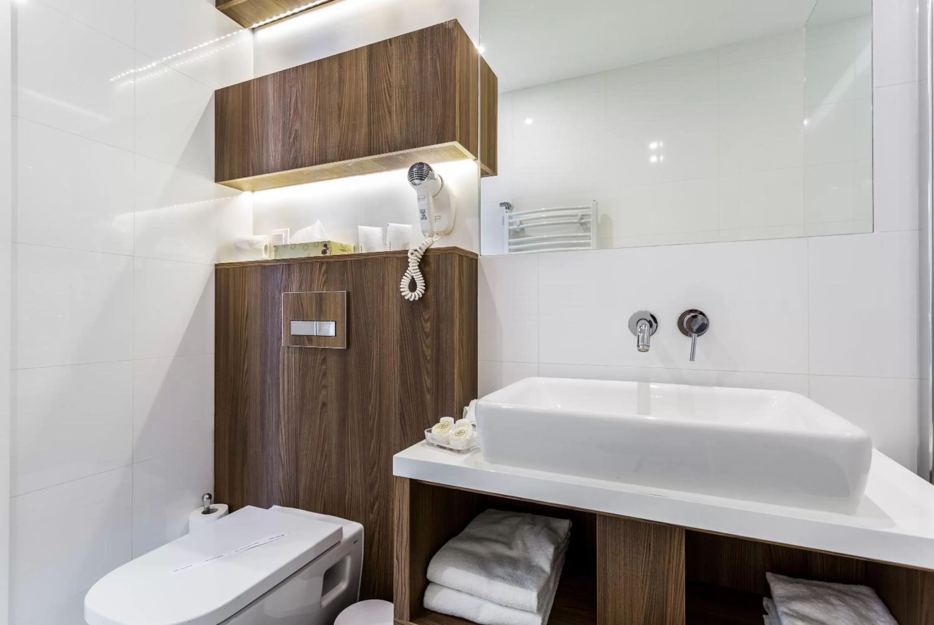 Toilet in Hotel Elektor Premium