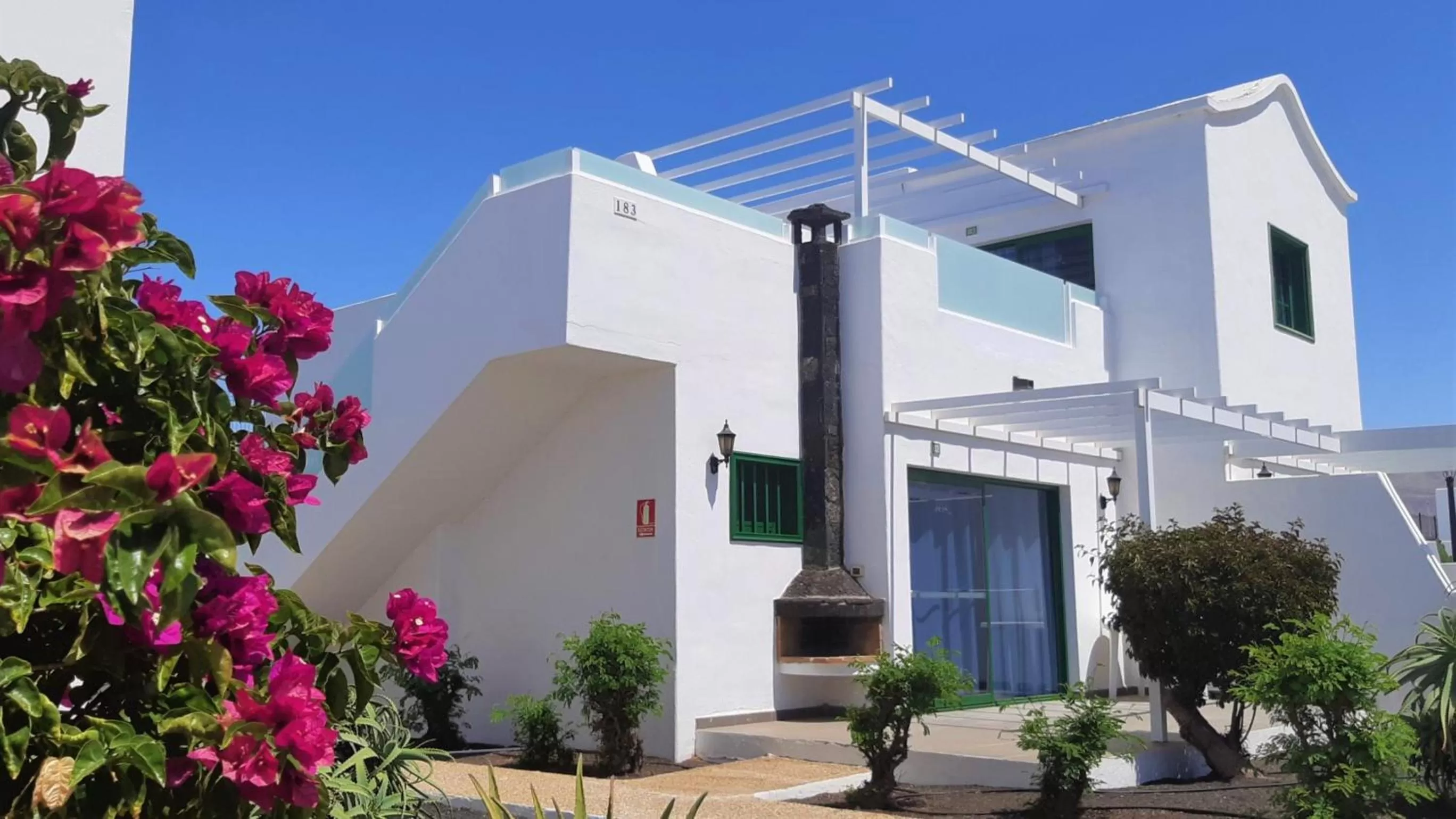 Garden view in Hyde Park Lane