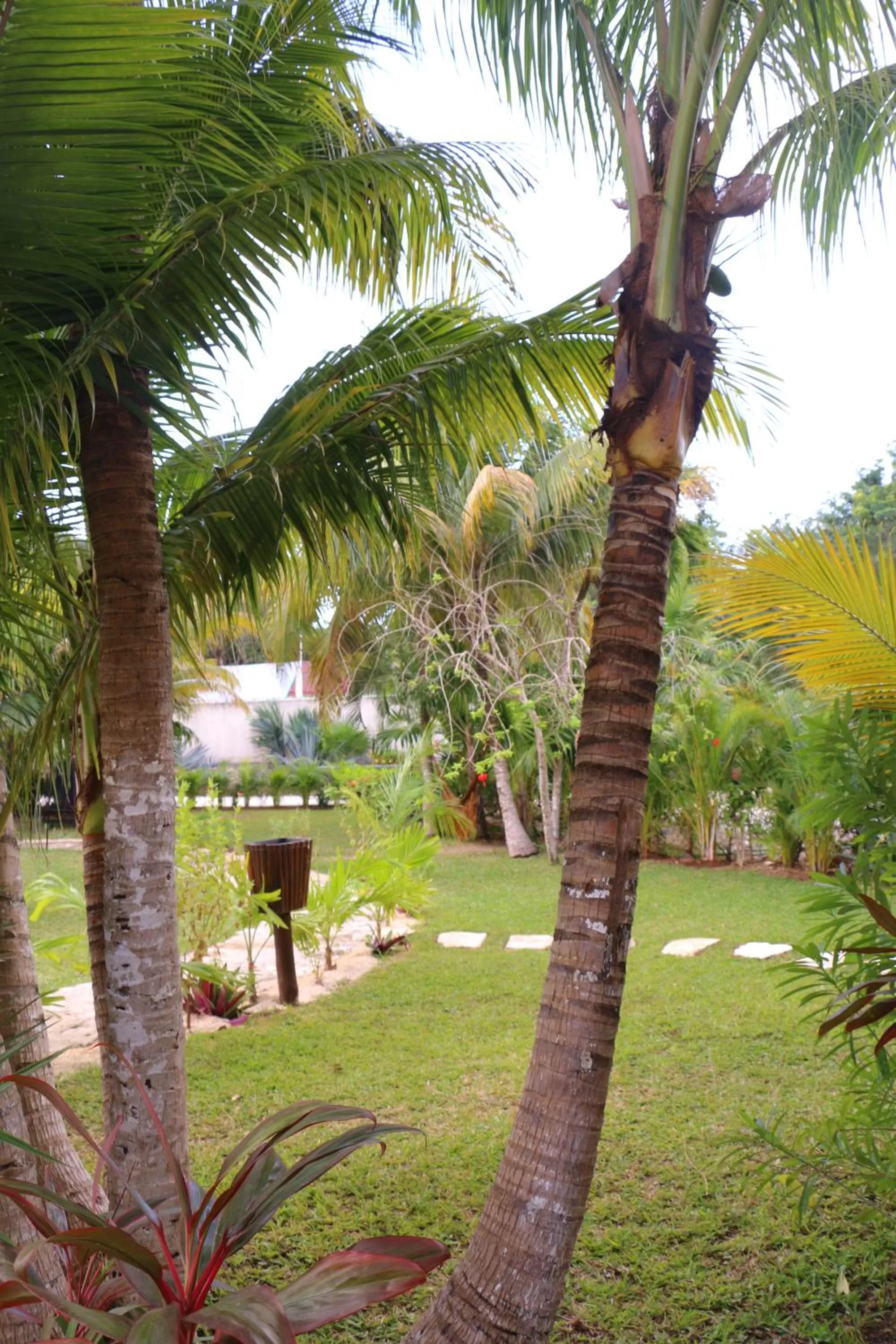 Winter, Garden in WishTulum