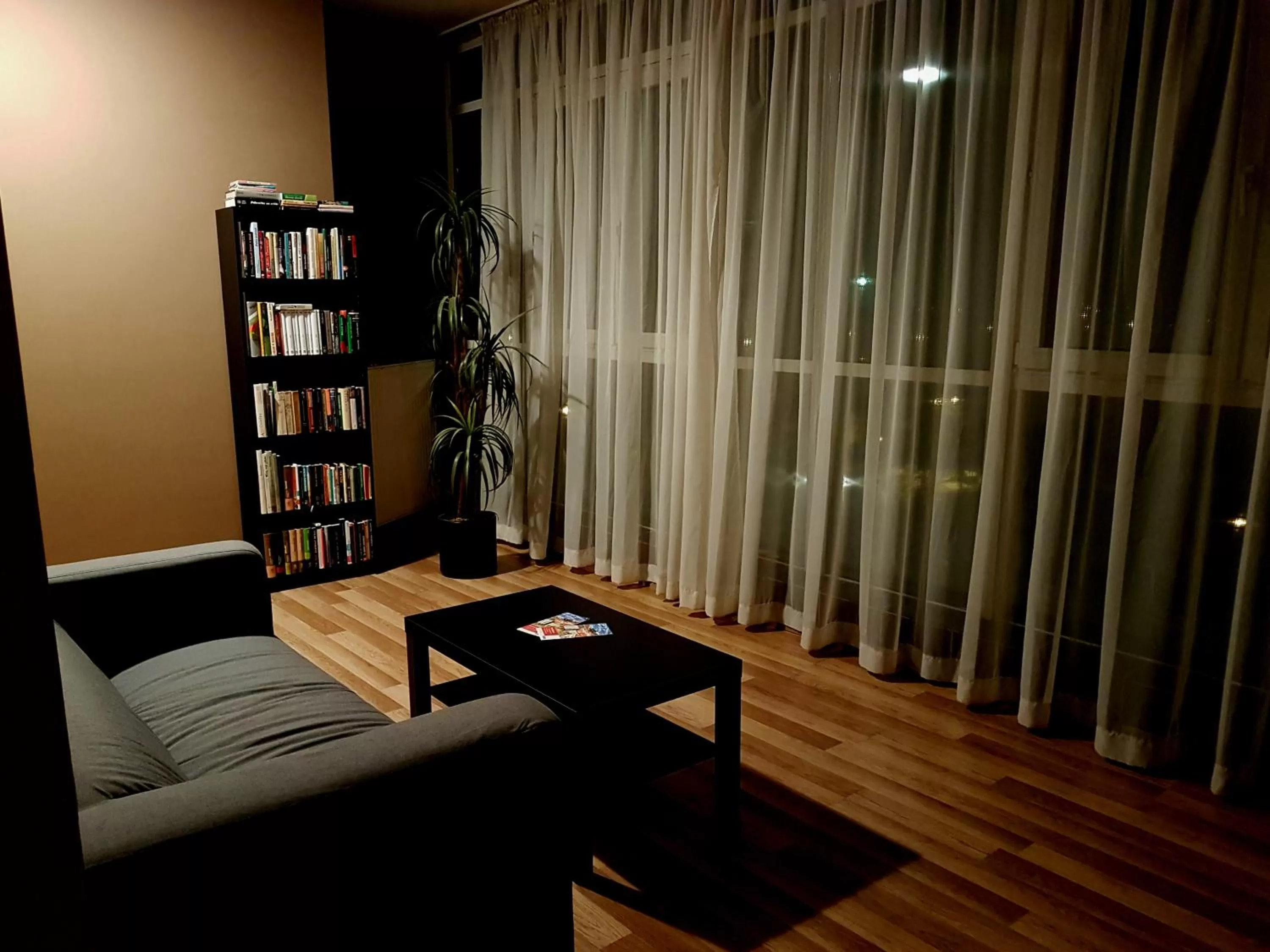 Library in Hotel Modena