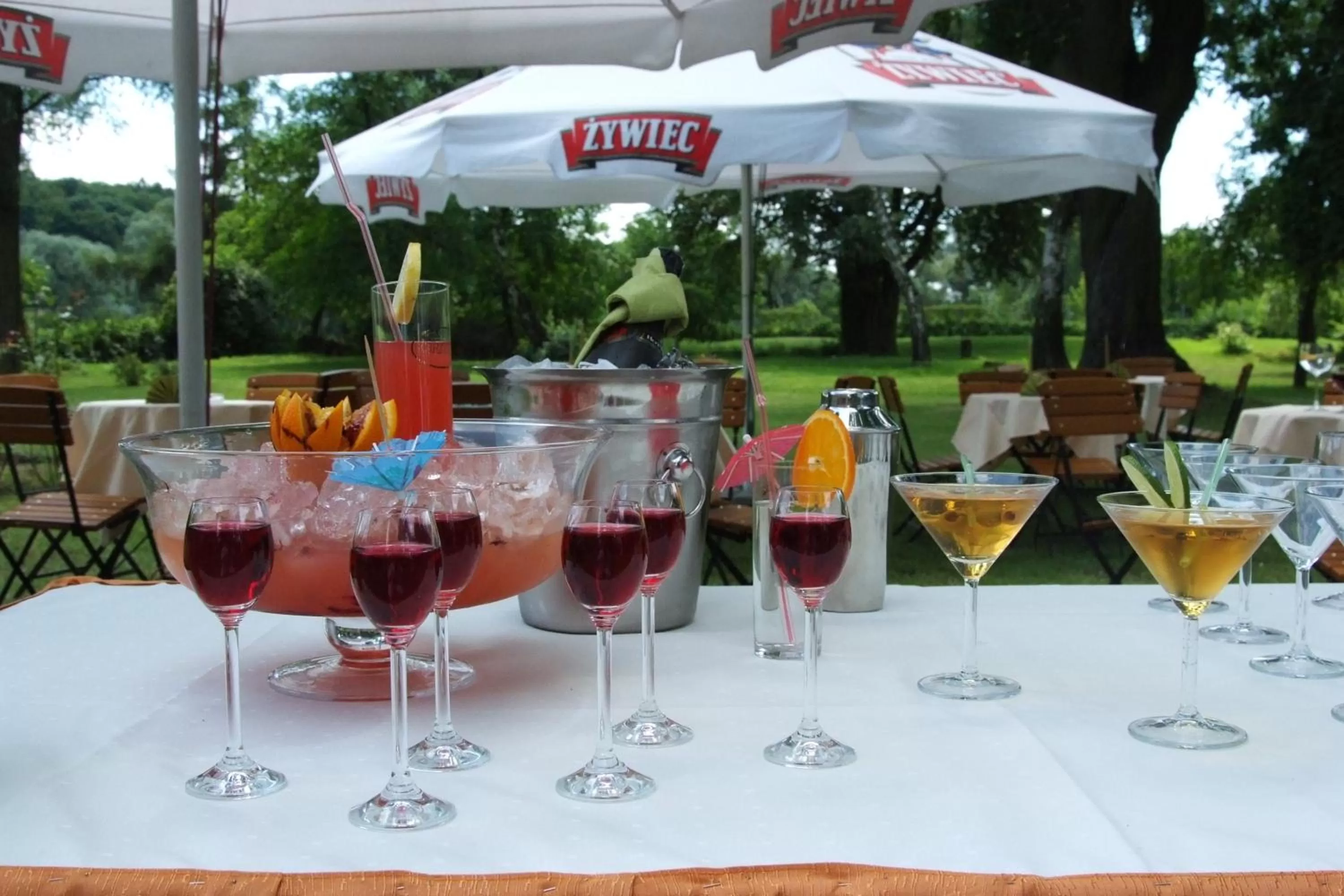 Garden in Hotel Vistula