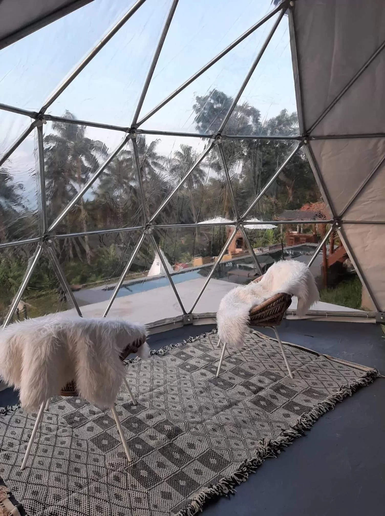 Photo of the whole room, Other Animals in Bintana sa Paraiso Binunsaran