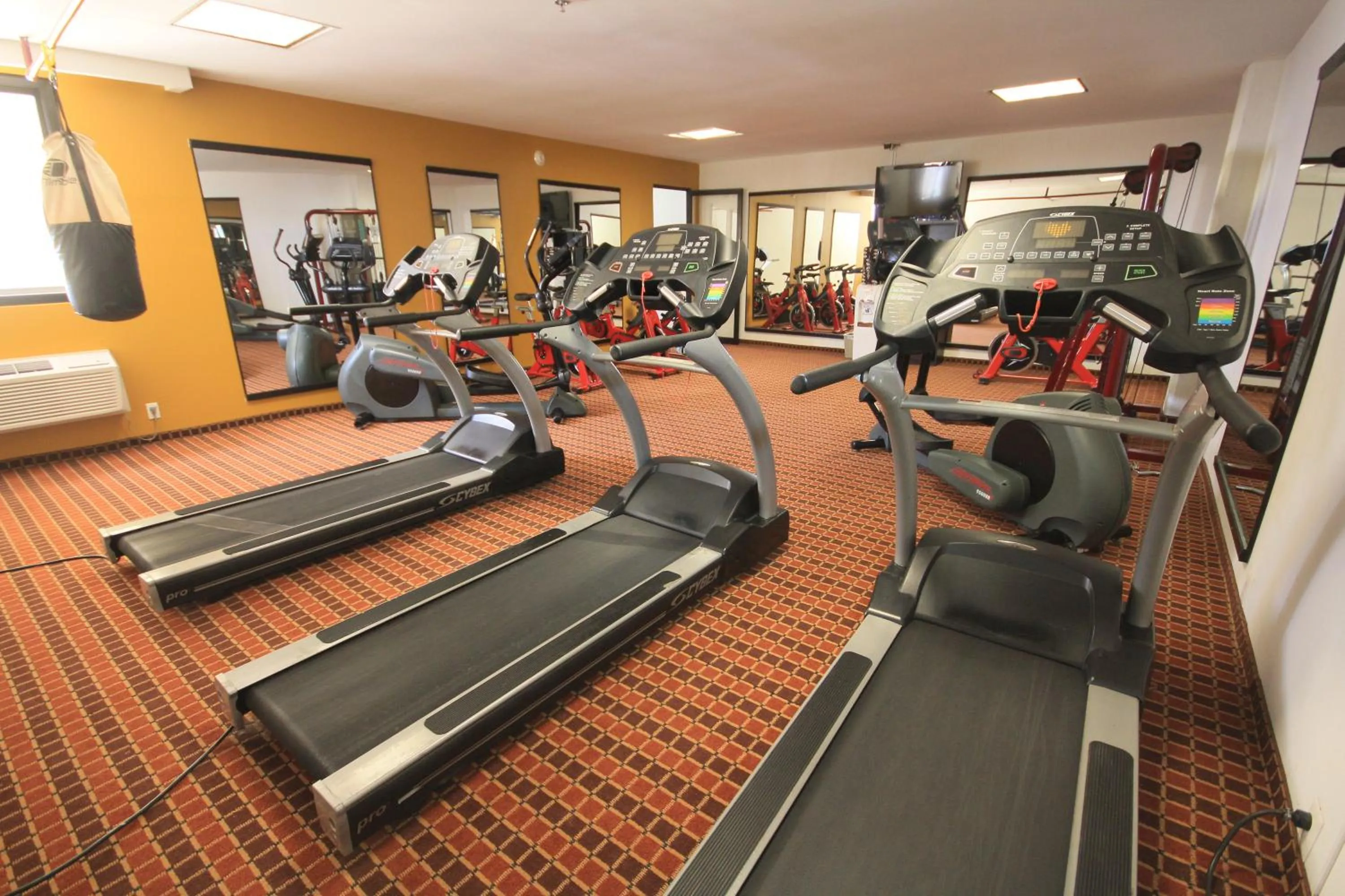 Fitness centre/facilities in Paris FC Hotel
