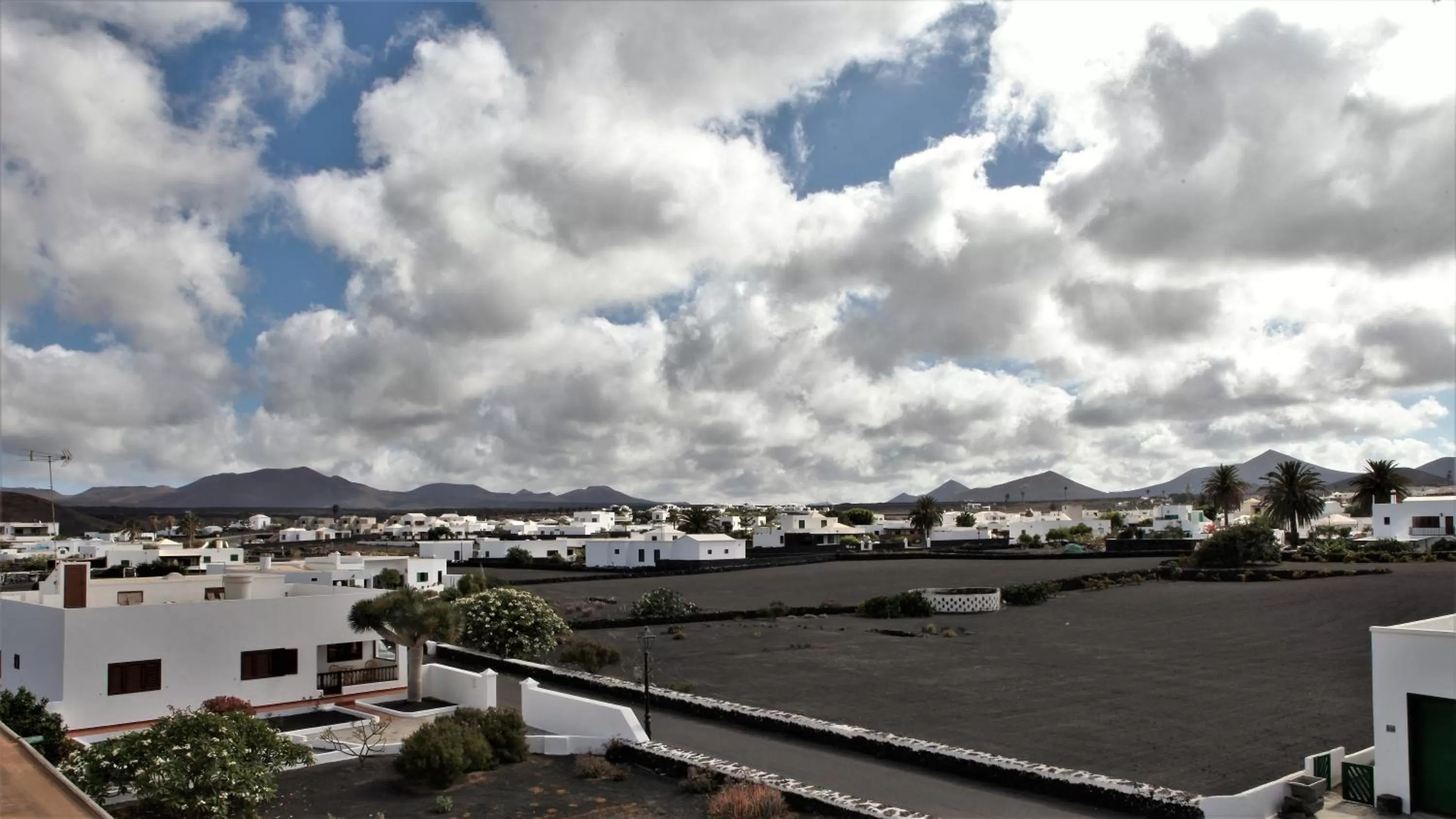 Garden view in B&B Hotelito el Campo