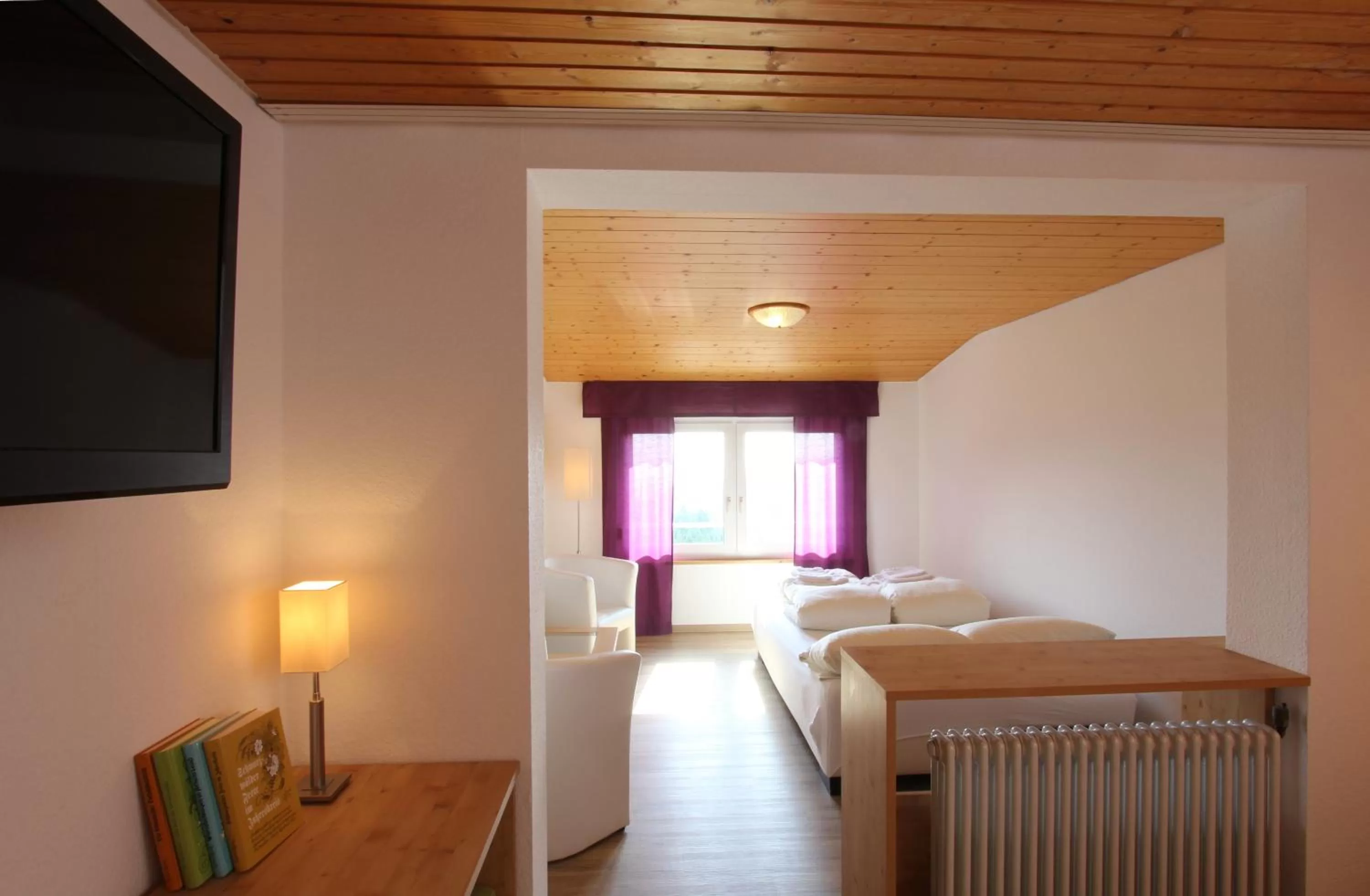 Living room, TV/Entertainment Center in Hotel Lowen by Mastiff