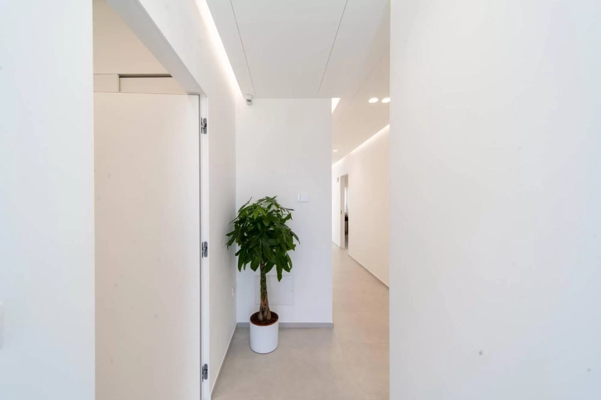 Darts in Daline Holiday Rooms