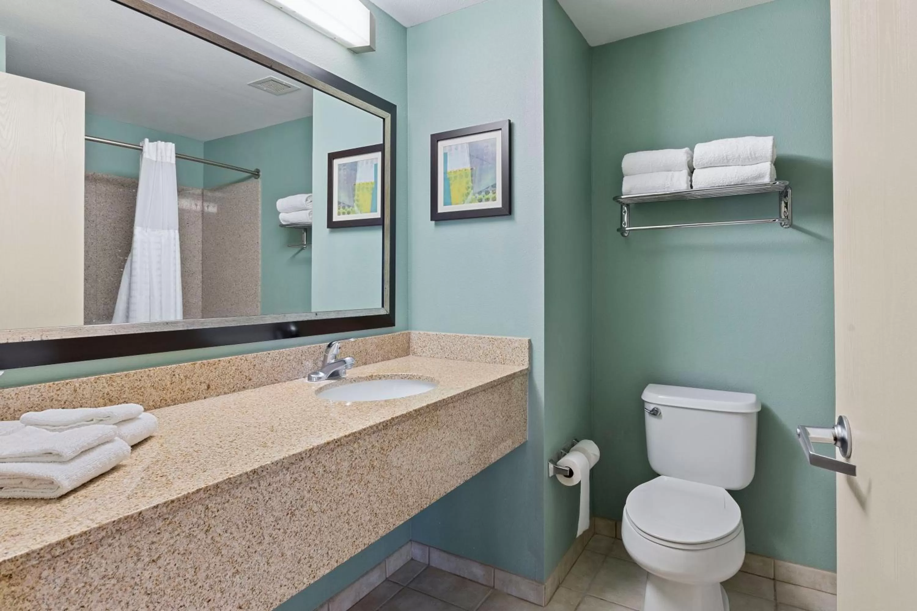 Bathroom in Extended Stay America Premier Suites - Lakeland - I-4