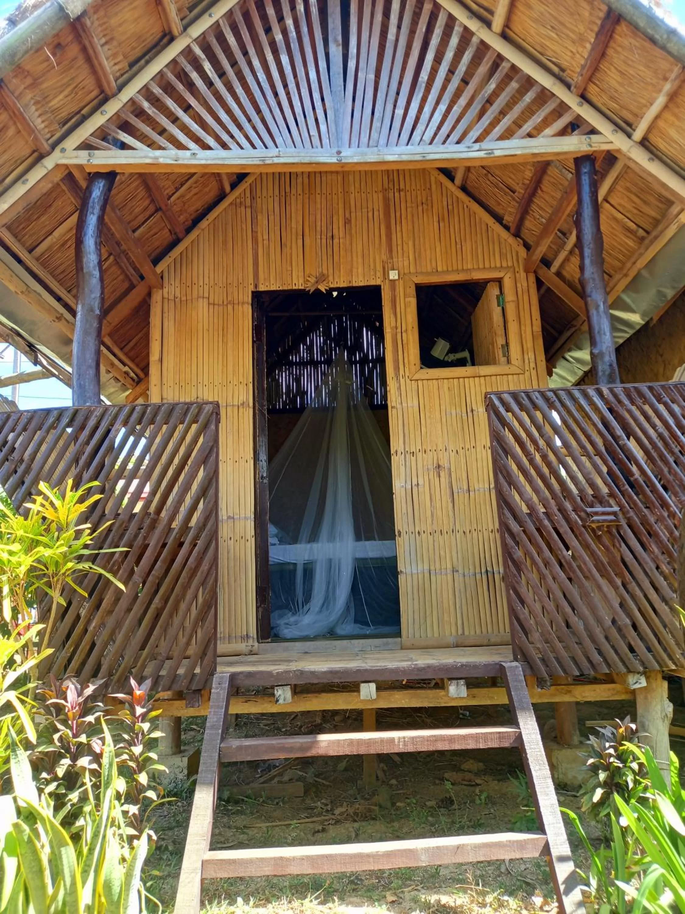 Banana Grove El Nido