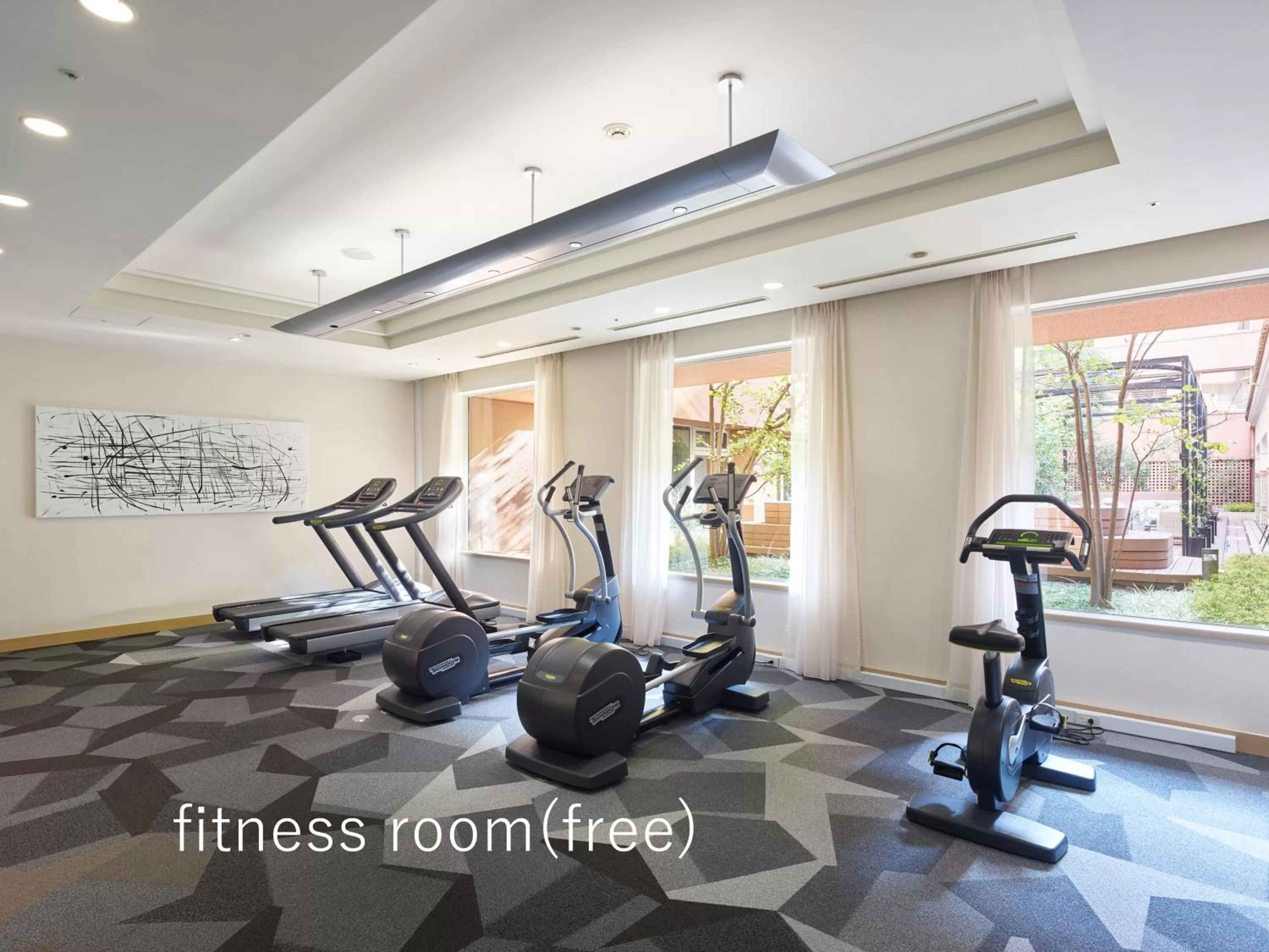 Fitness centre/facilities in Hotel The Celestine Tokyo Shiba