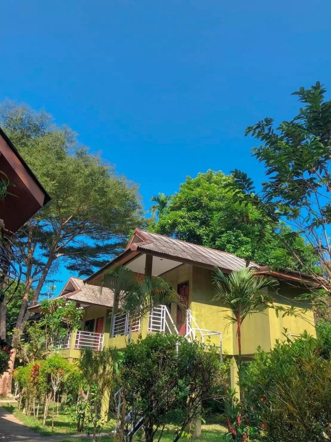 Garden in Khao Sok Jungle Huts Resort