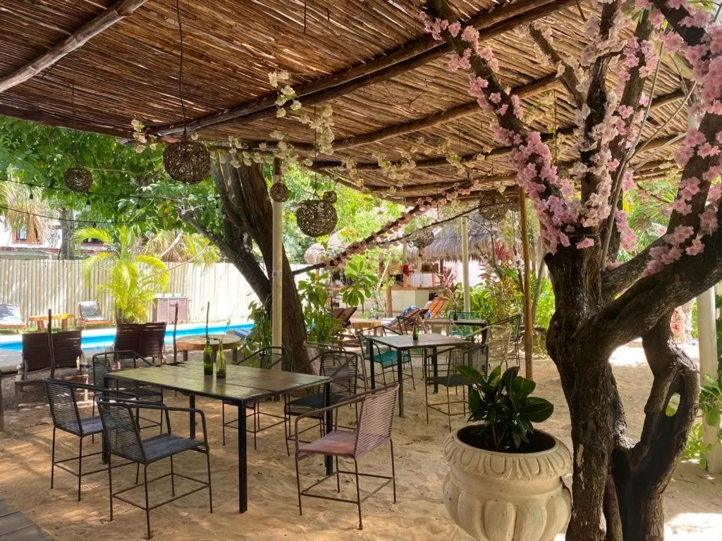 Restaurant/Places to Eat in Isabella Boutique Hotel