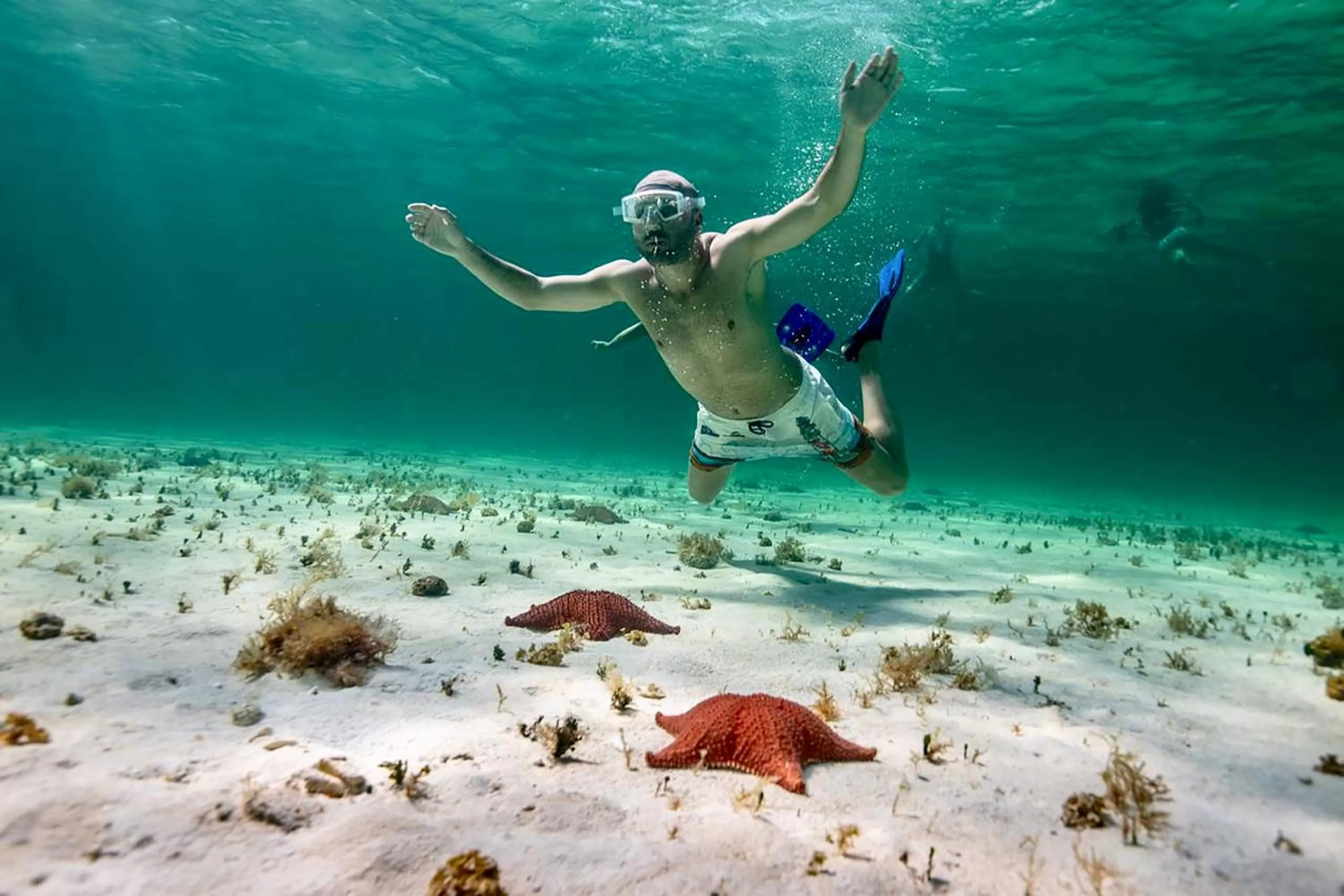 Activities in Albatros by Bedsfriends