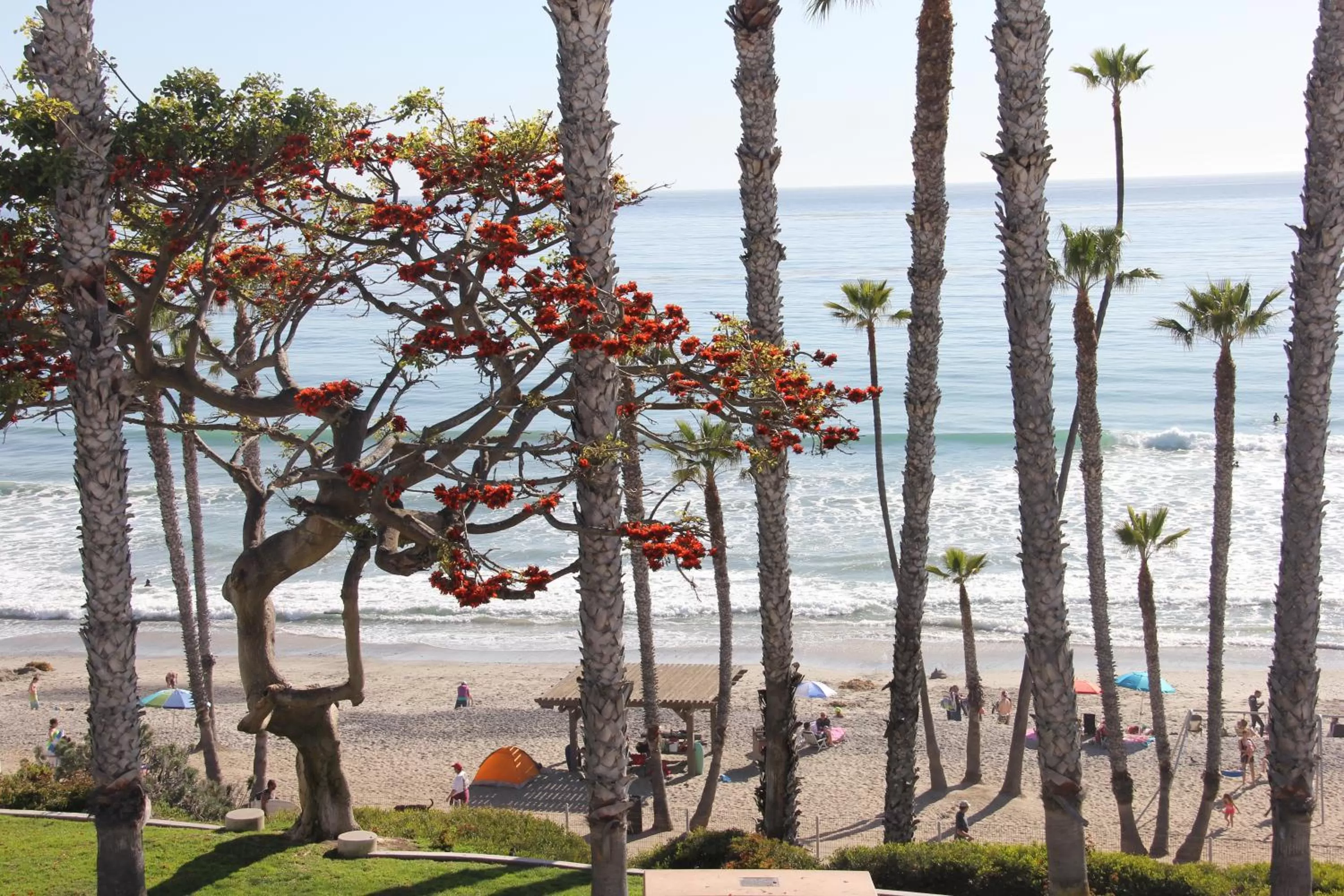 View (from property/room) in Sea Horse Resort