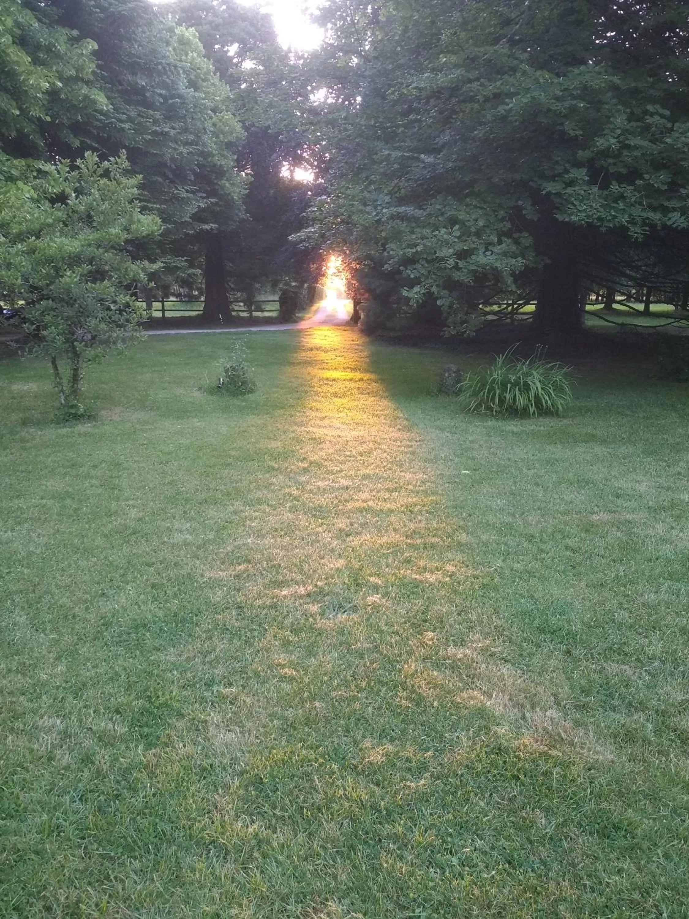 Garden in les grandes hayes
