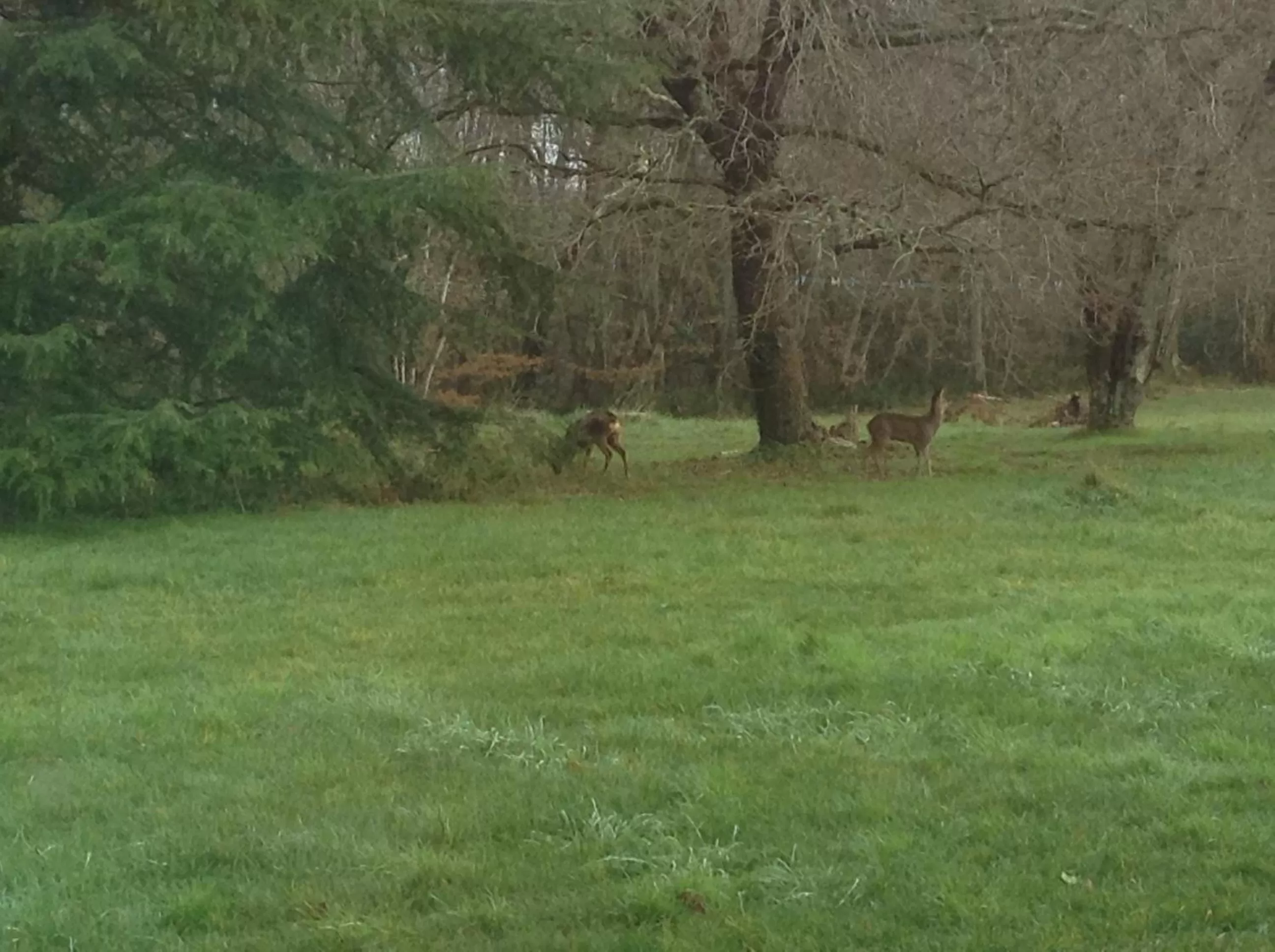 View (from property/room), Natural Landscape in Domaine verte vallée
