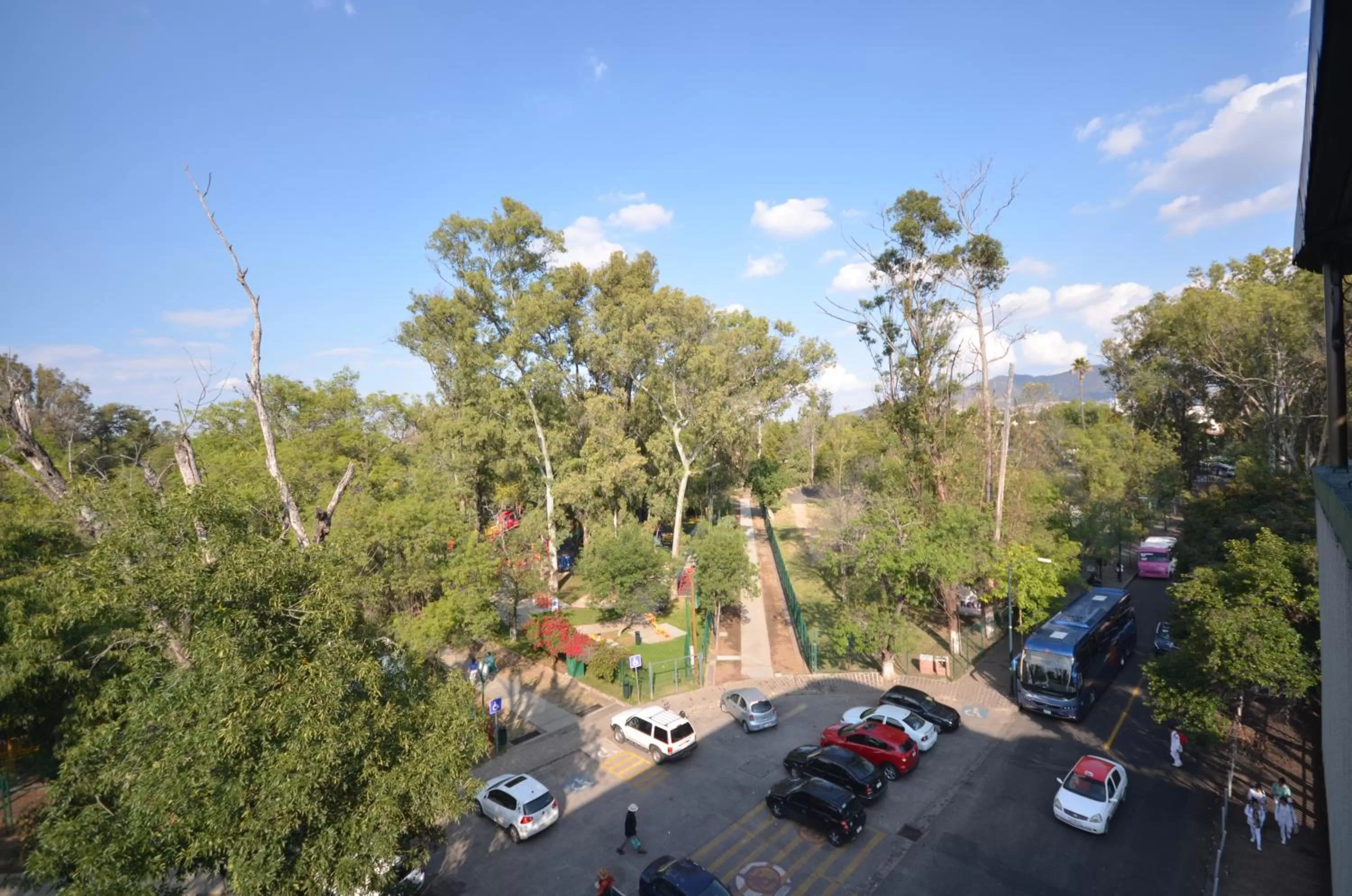 Day in Hotel Diana del Bosque by DOT Urban