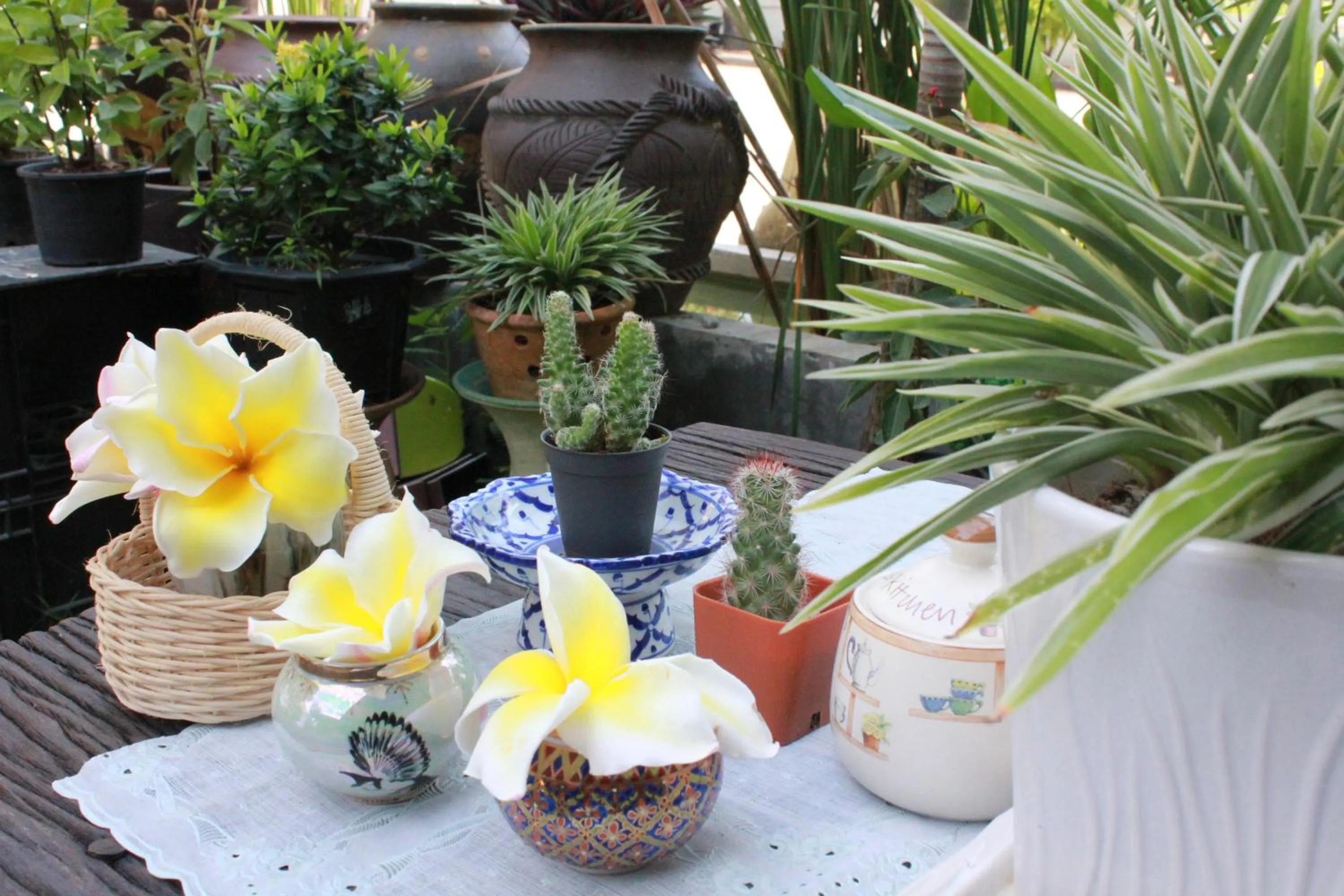 Garden in Eat n Sleep