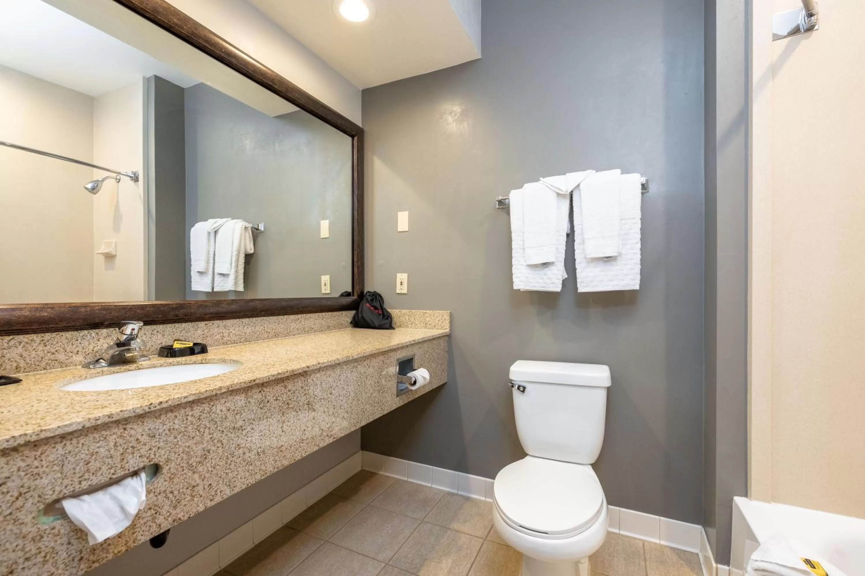 Bathroom in Best Western Plus Dixon Davis