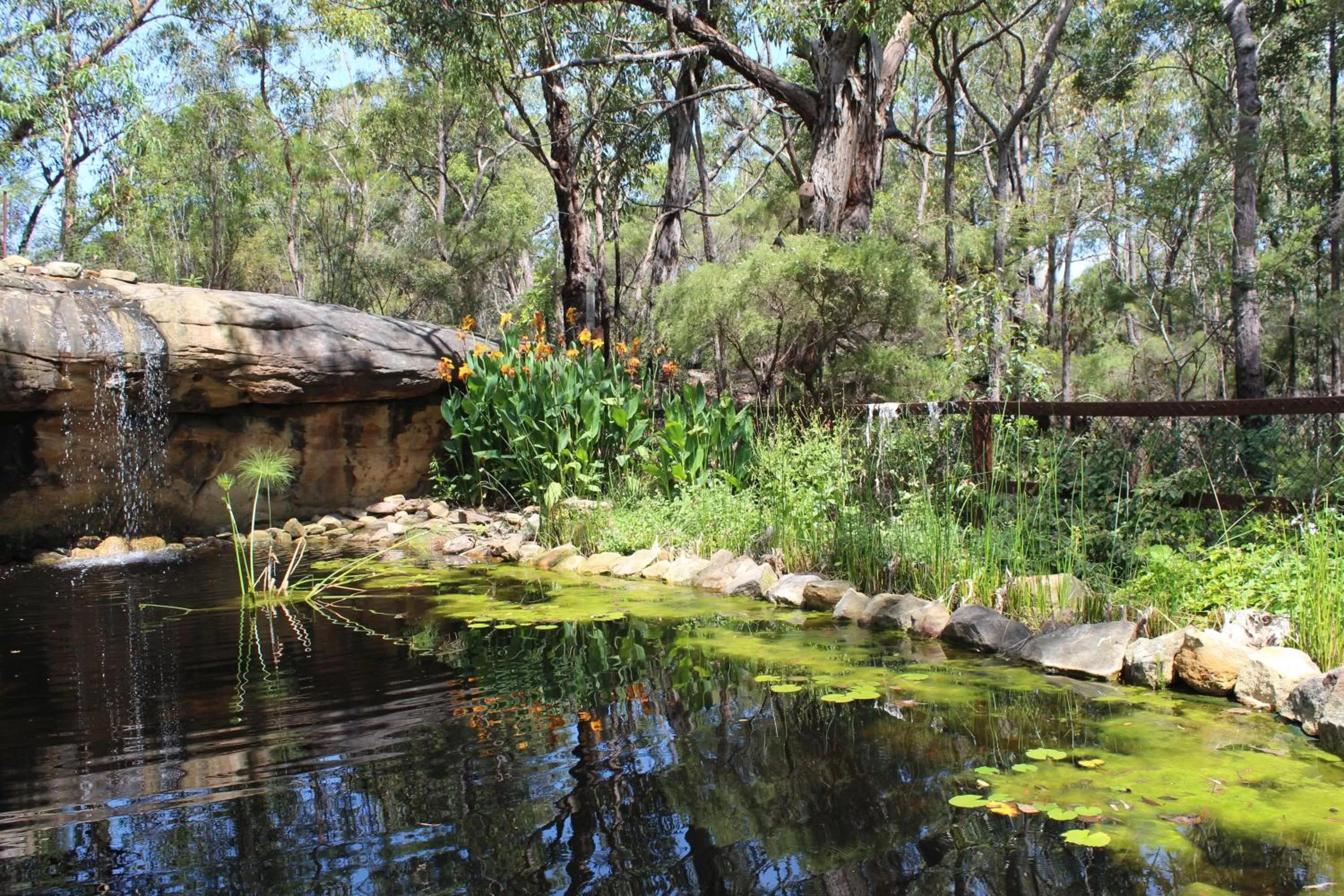 Garden in Storey Grange