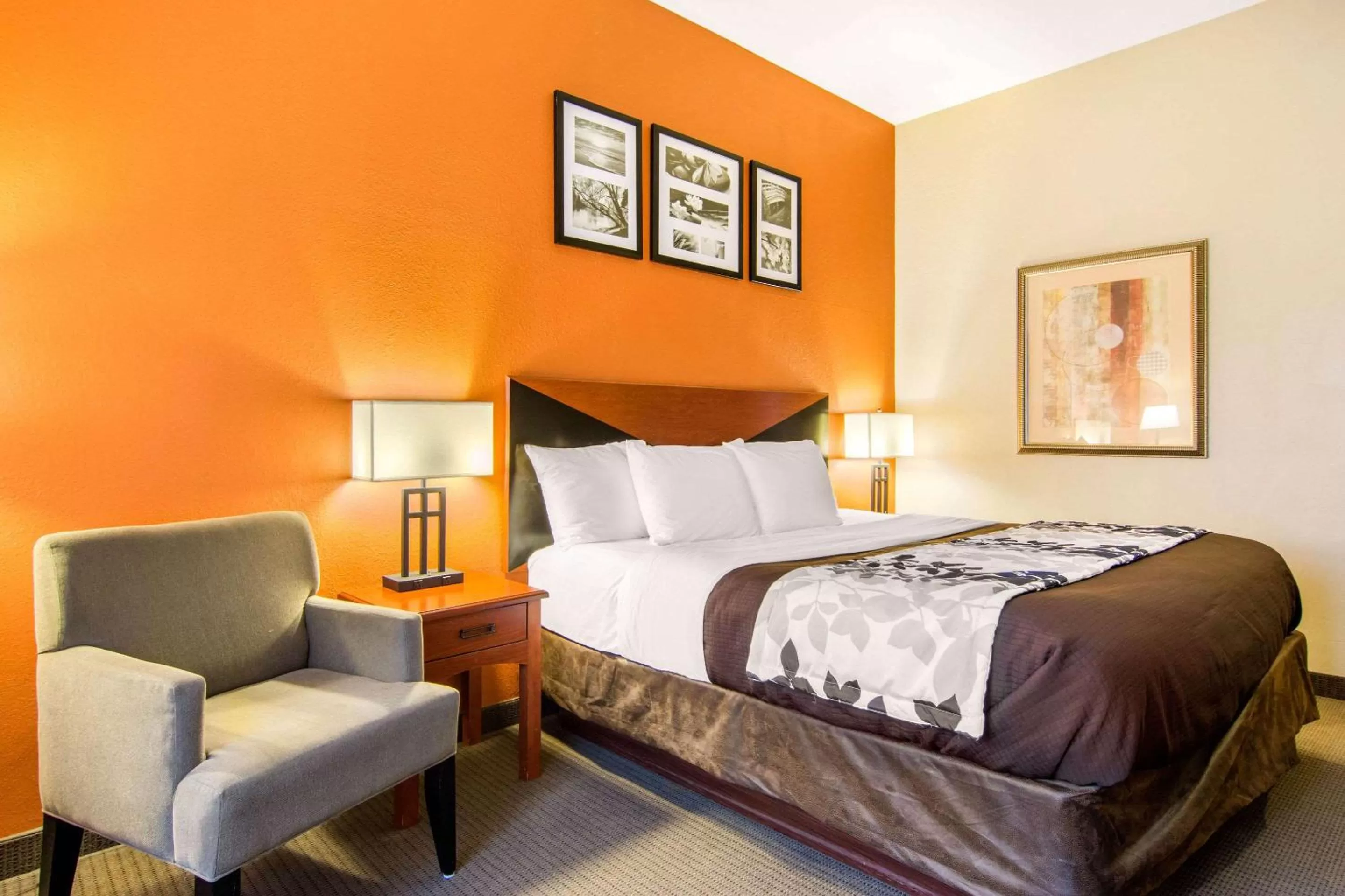 Photo of the whole room, Bed in Sleep Inn & Suites Athens South