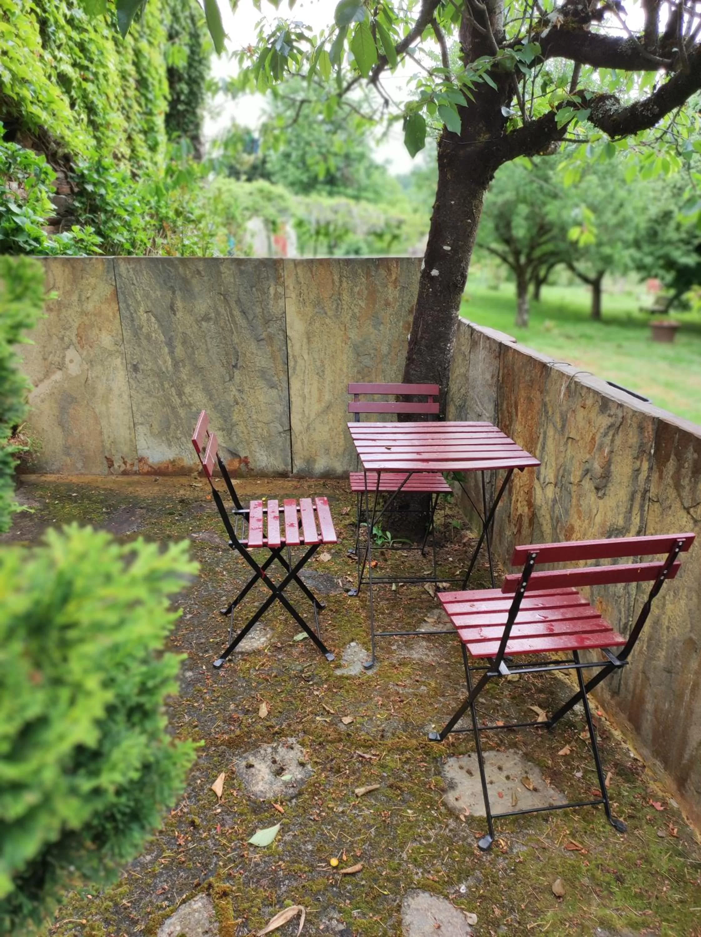 Balcony/Terrace, Garden in Hotel Casa de Díaz
