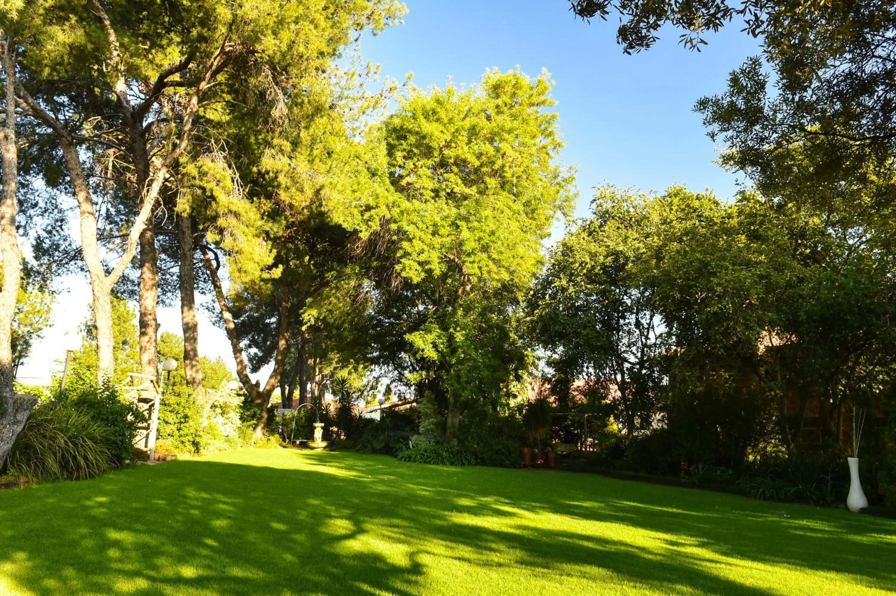 Garden in CedarWoods of Sandton