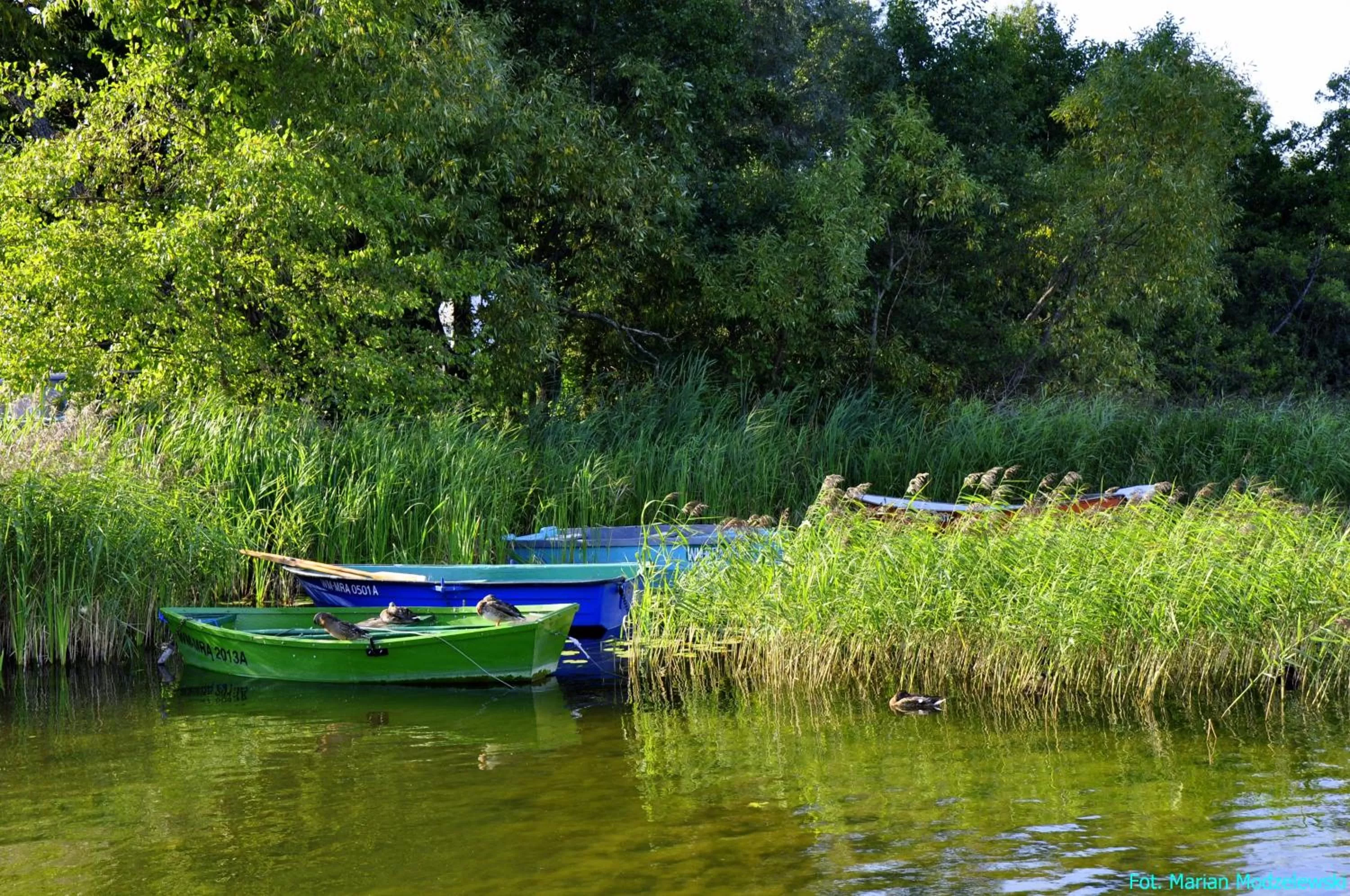 View (from property/room) in Hotel Huszcza
