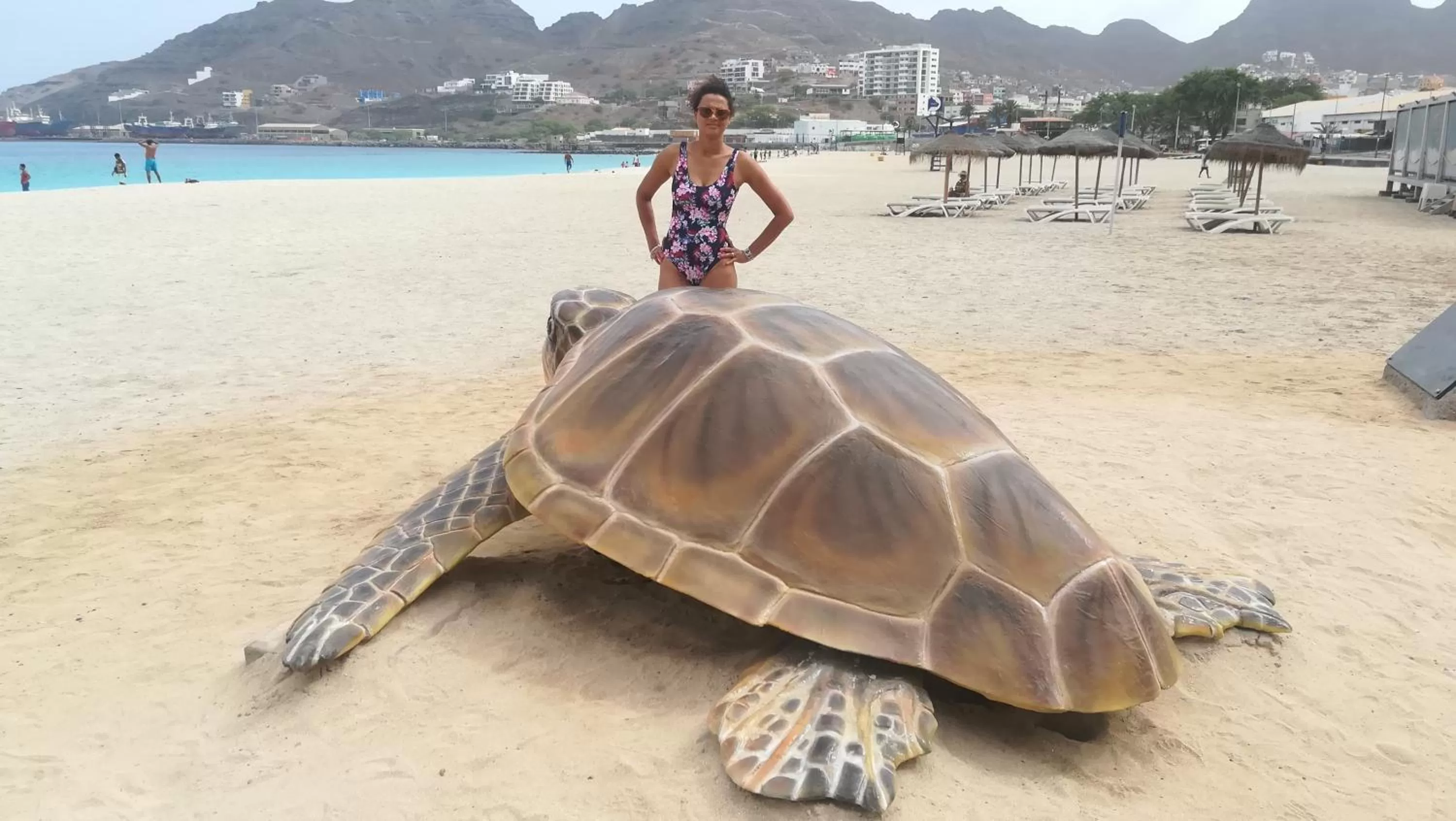 Other Animals in Basic Hotel