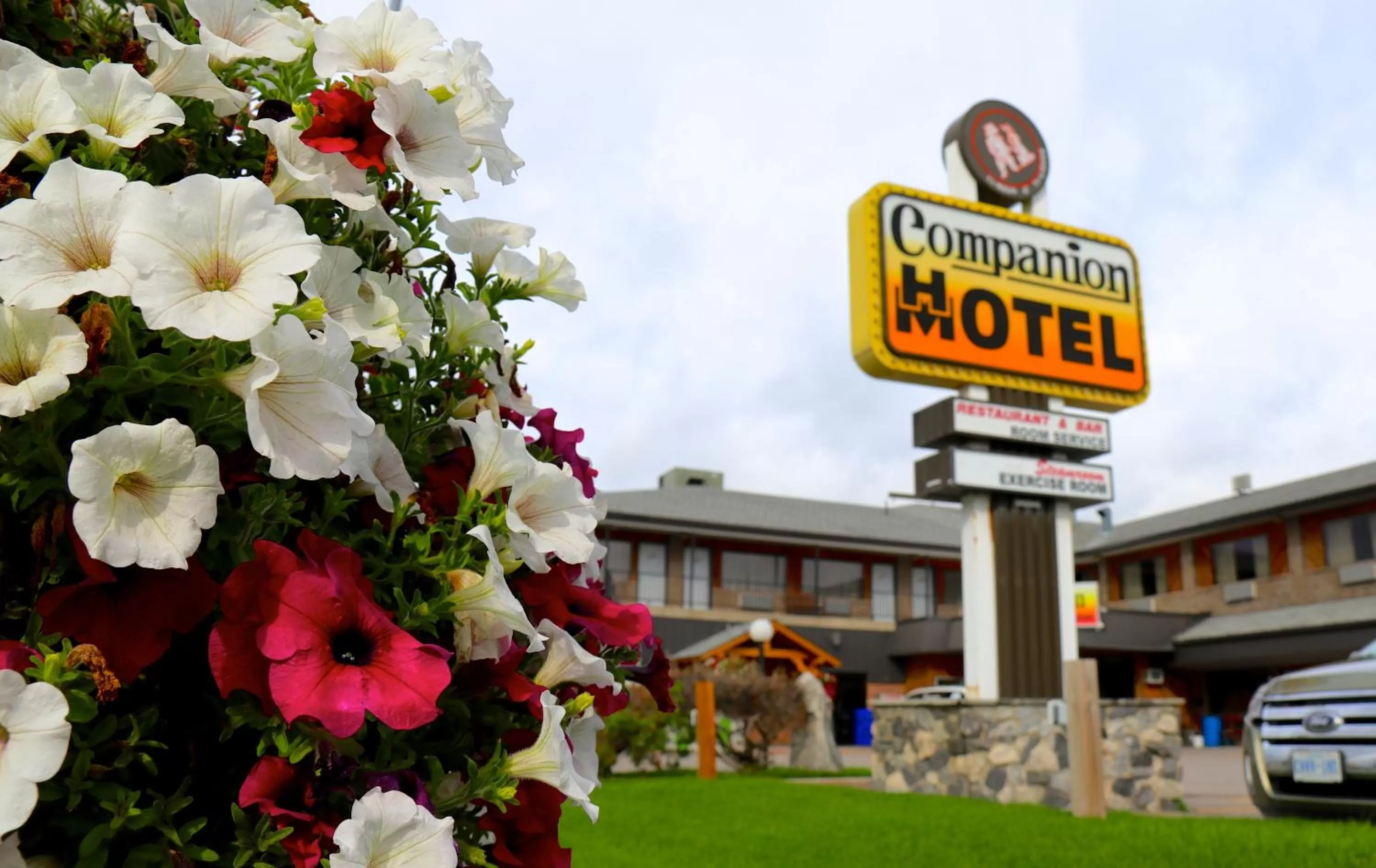 Property building in Companion Hotel Motel