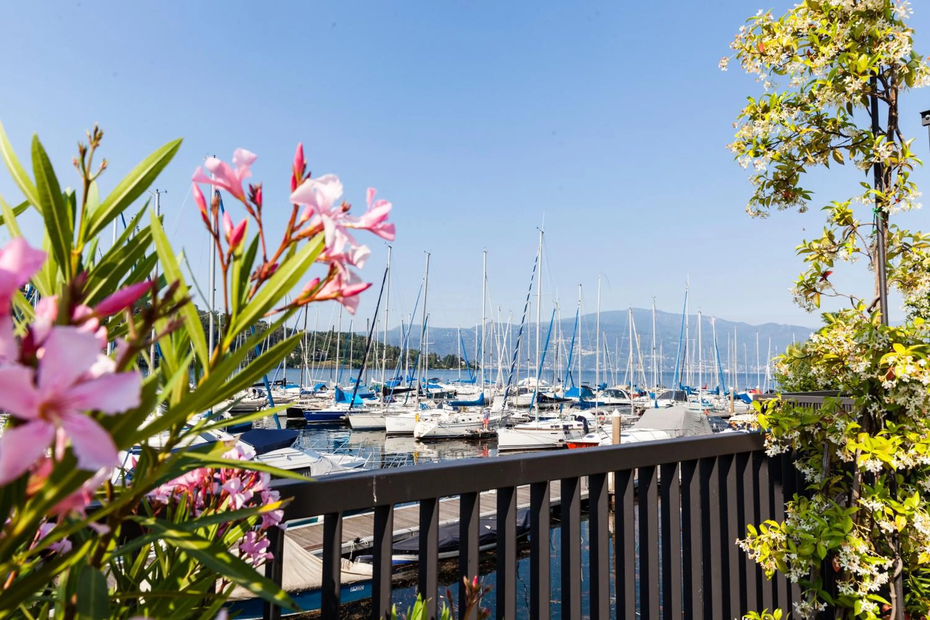 Garden in Hotel de Charme Laveno - Luxury all Inclusive