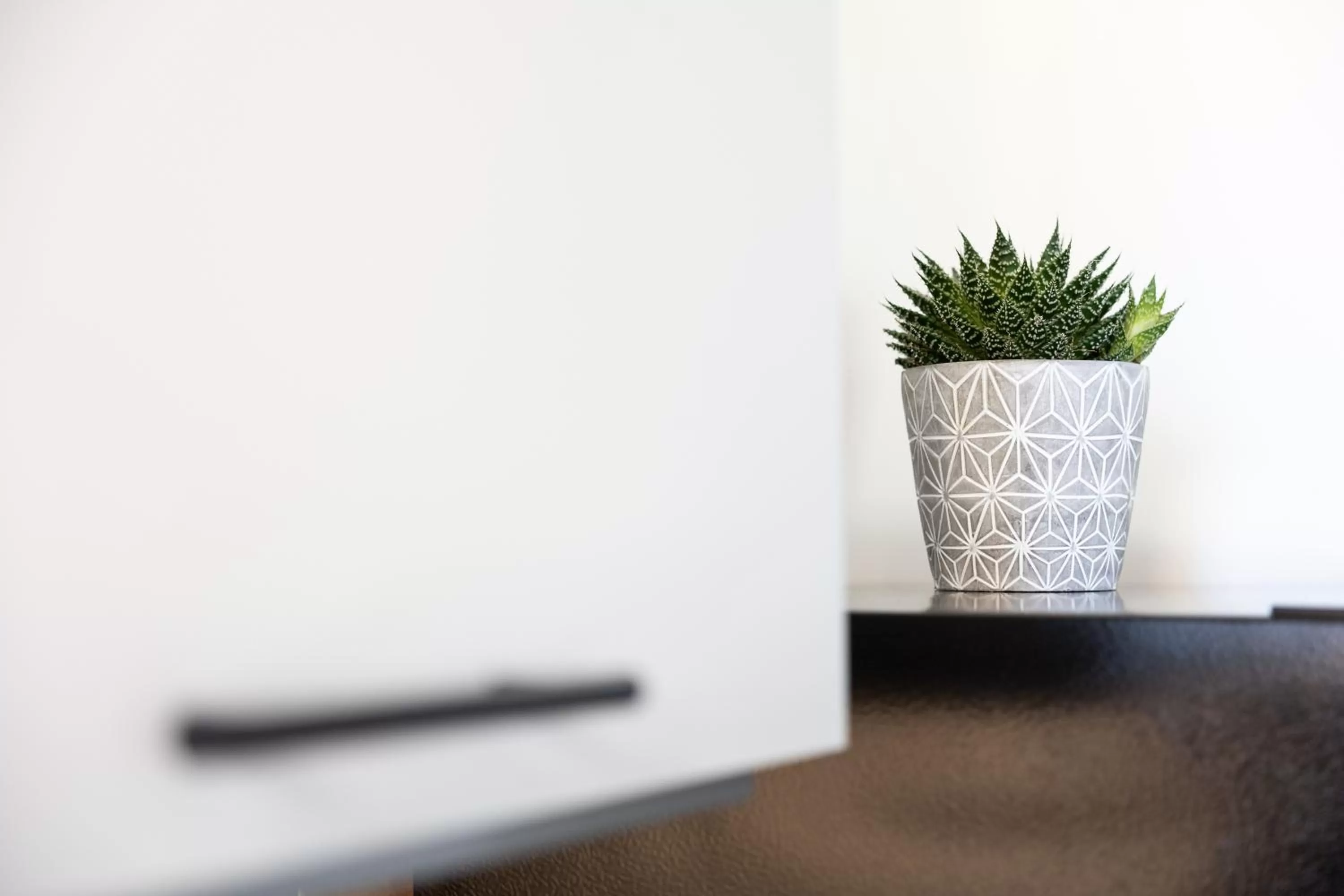 Decorative detail in Apartments am Neuen Theater - Altstadt - Zentral - Küche - Wifi - Powered by Ko-Living