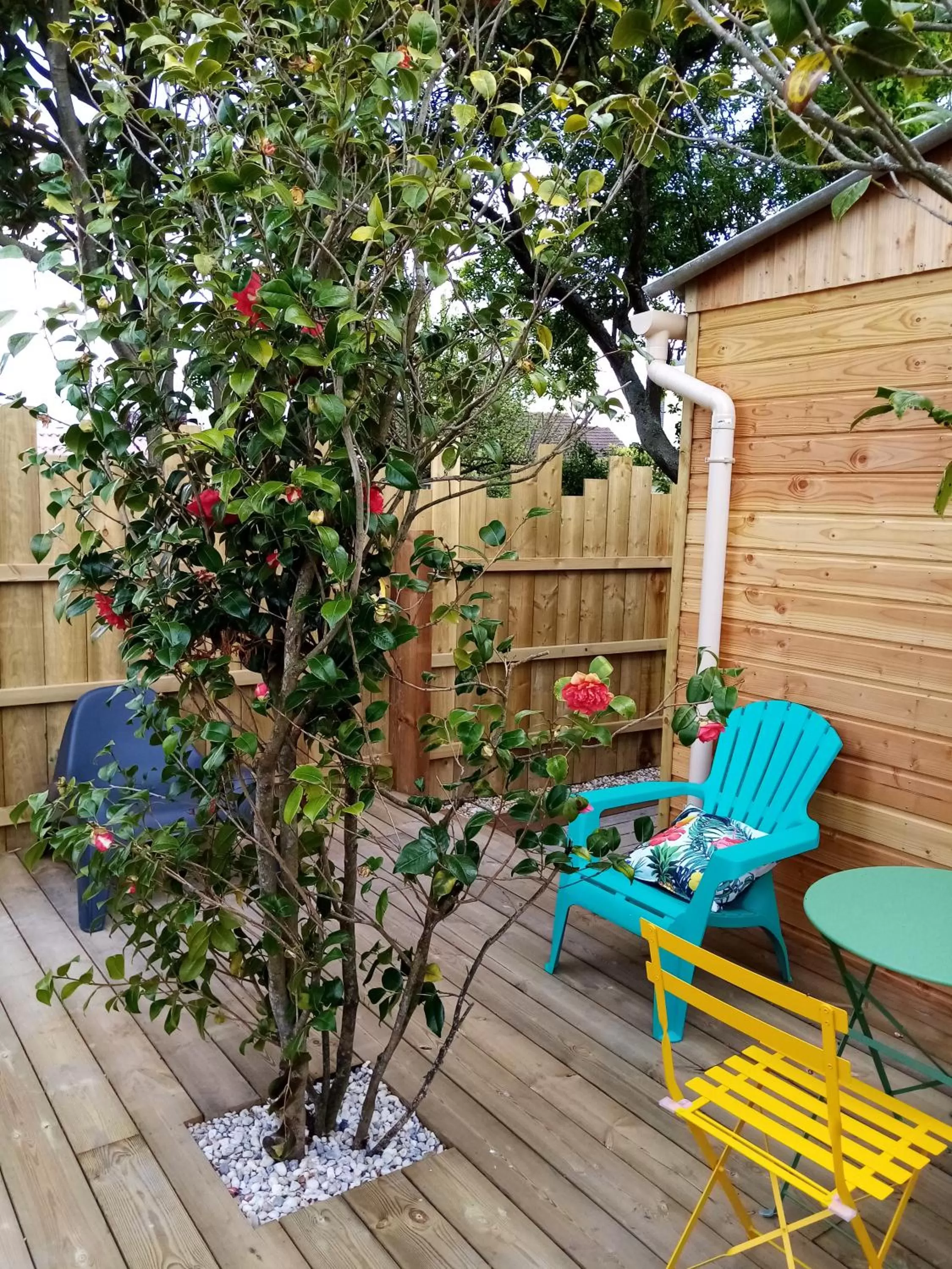 O Douceurs Sucrées Cabourg