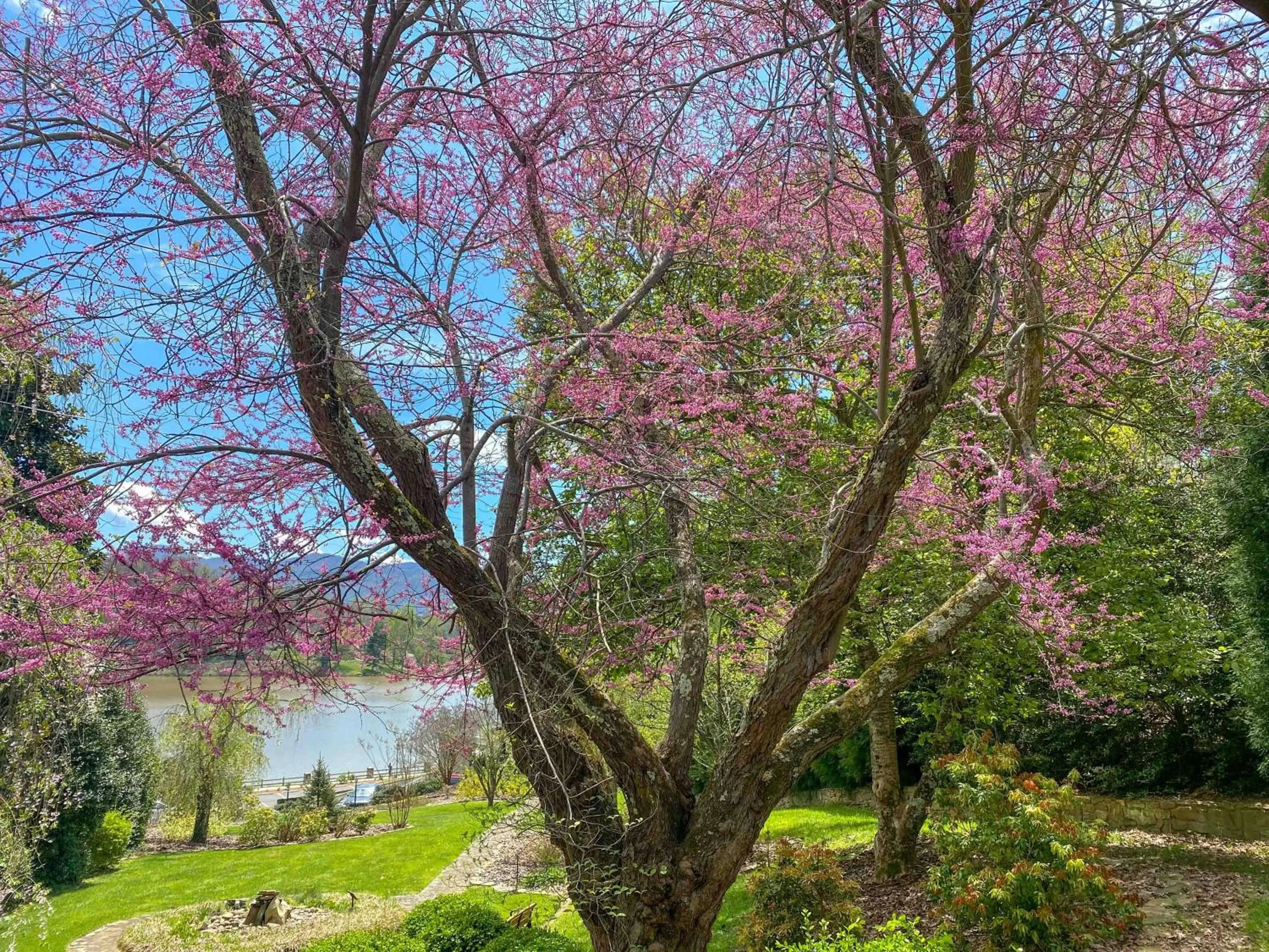 Garden in The Terrace Hotel at Lake Junaluska